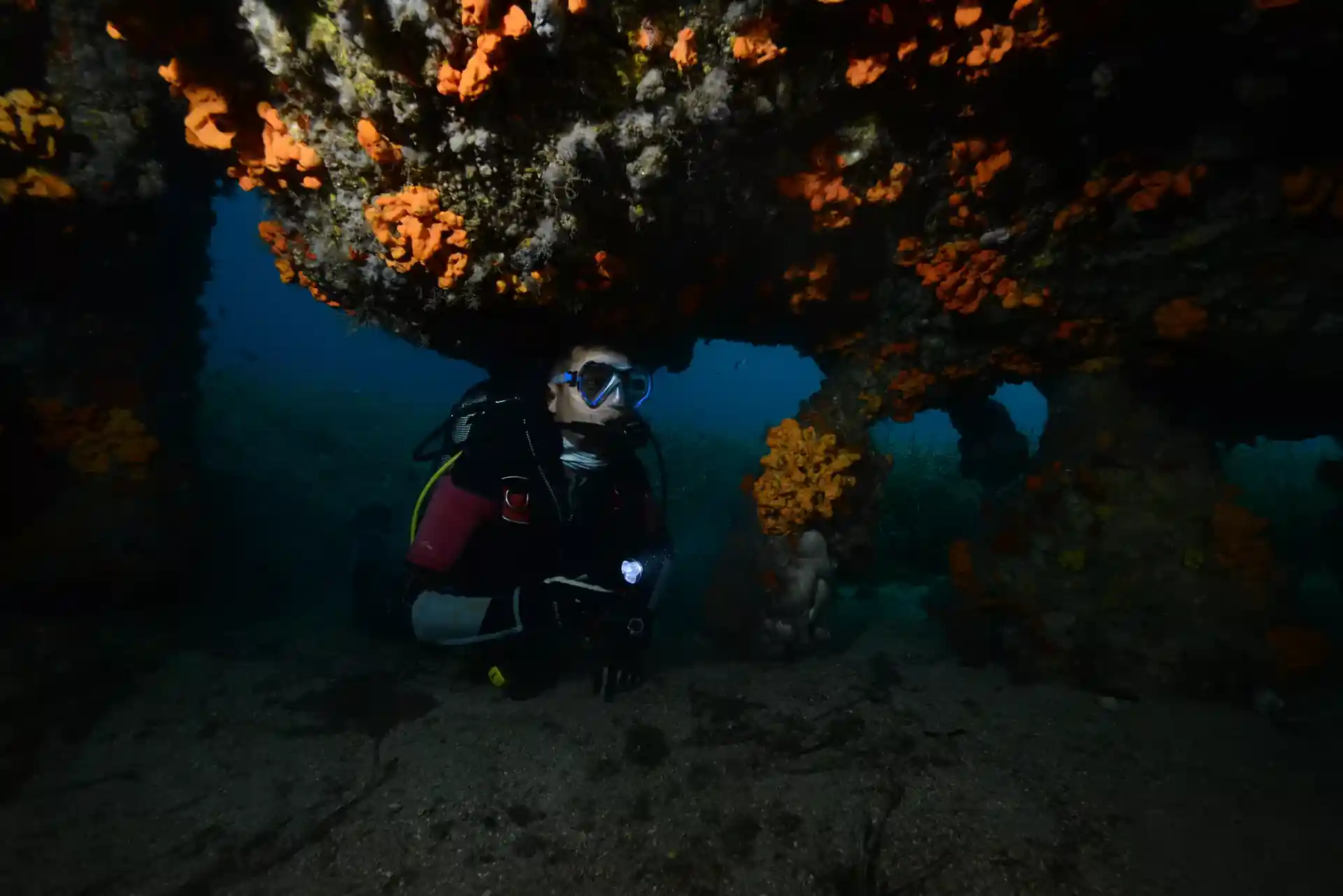 Dive site photo