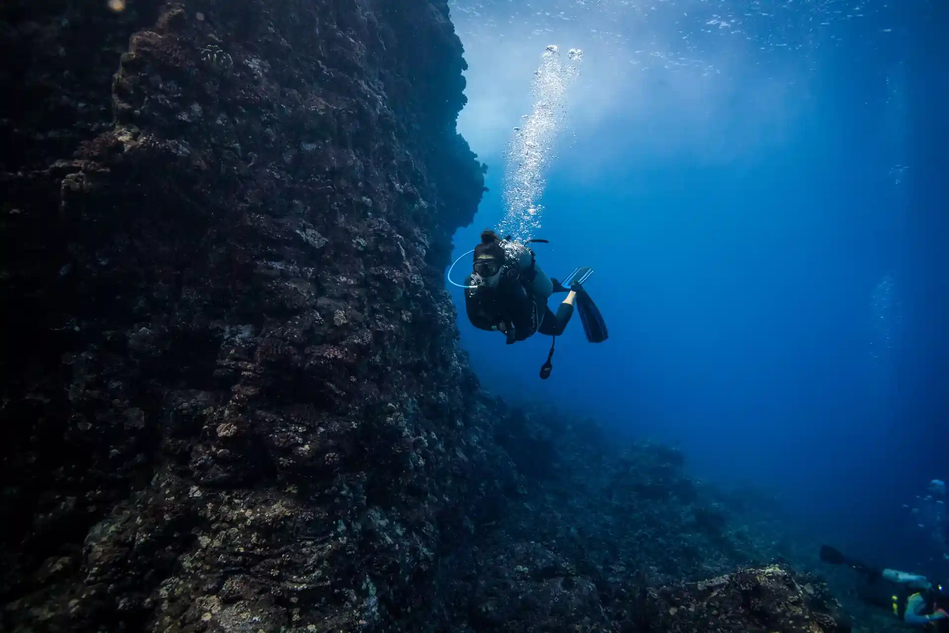 Dive site photo