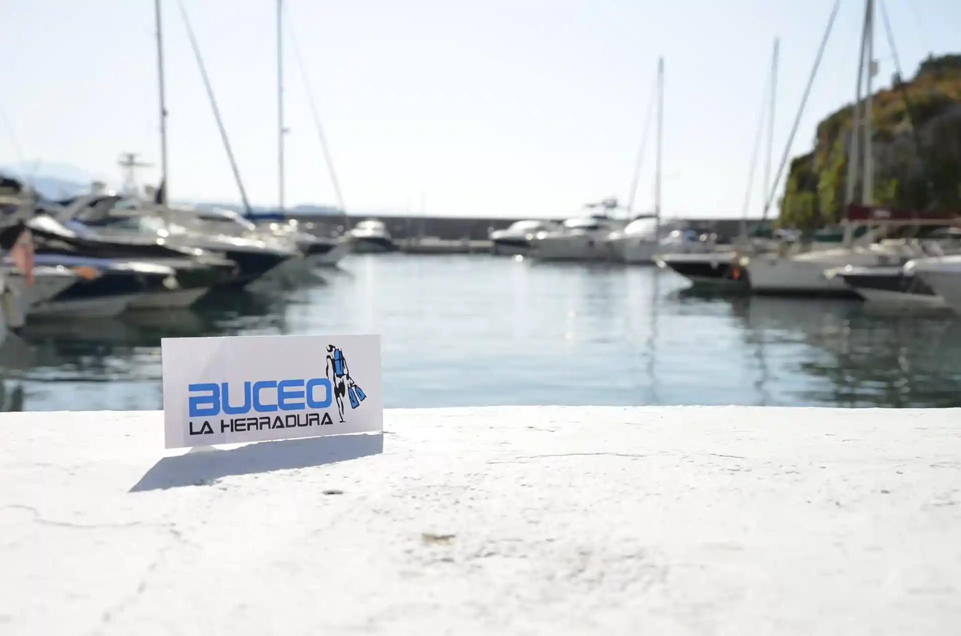 Photo de l'activité