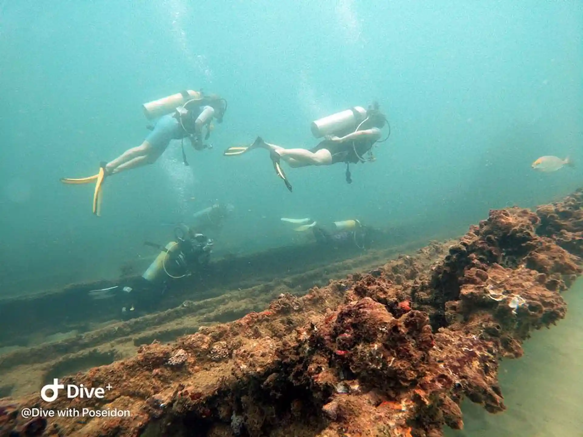 Dive site photo