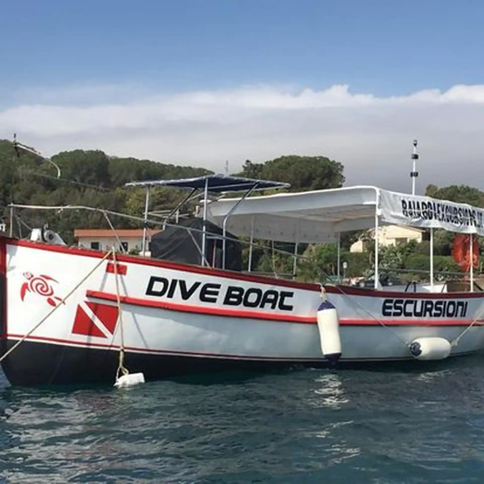 Foto de la actividad