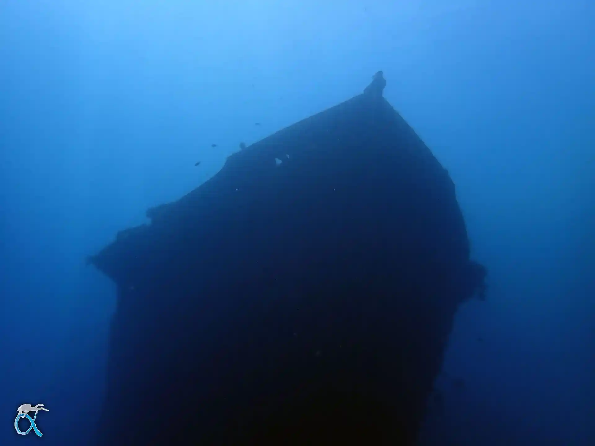 ダイビングサイトの写真