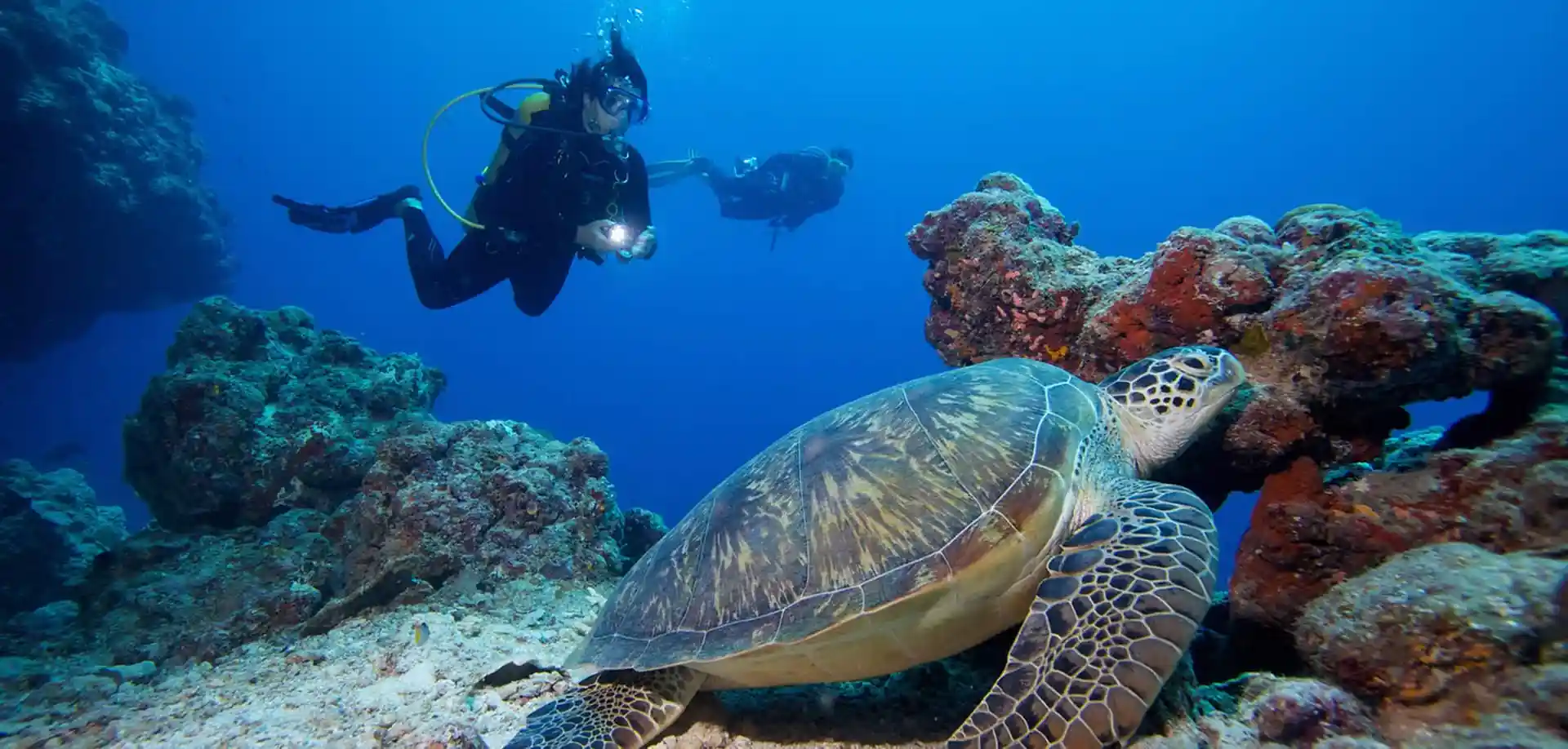 Dive site photo