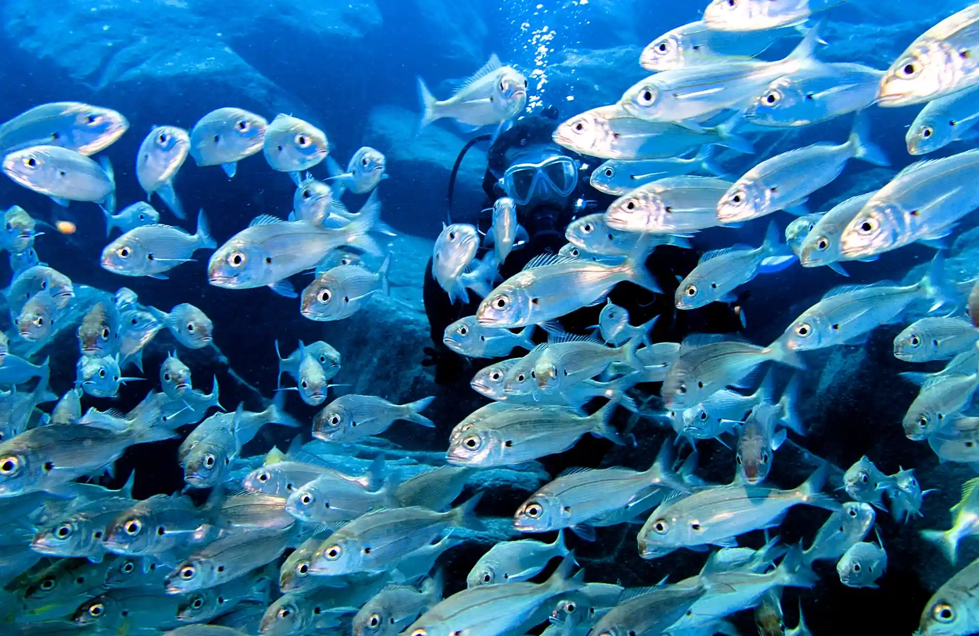 Dive site photo