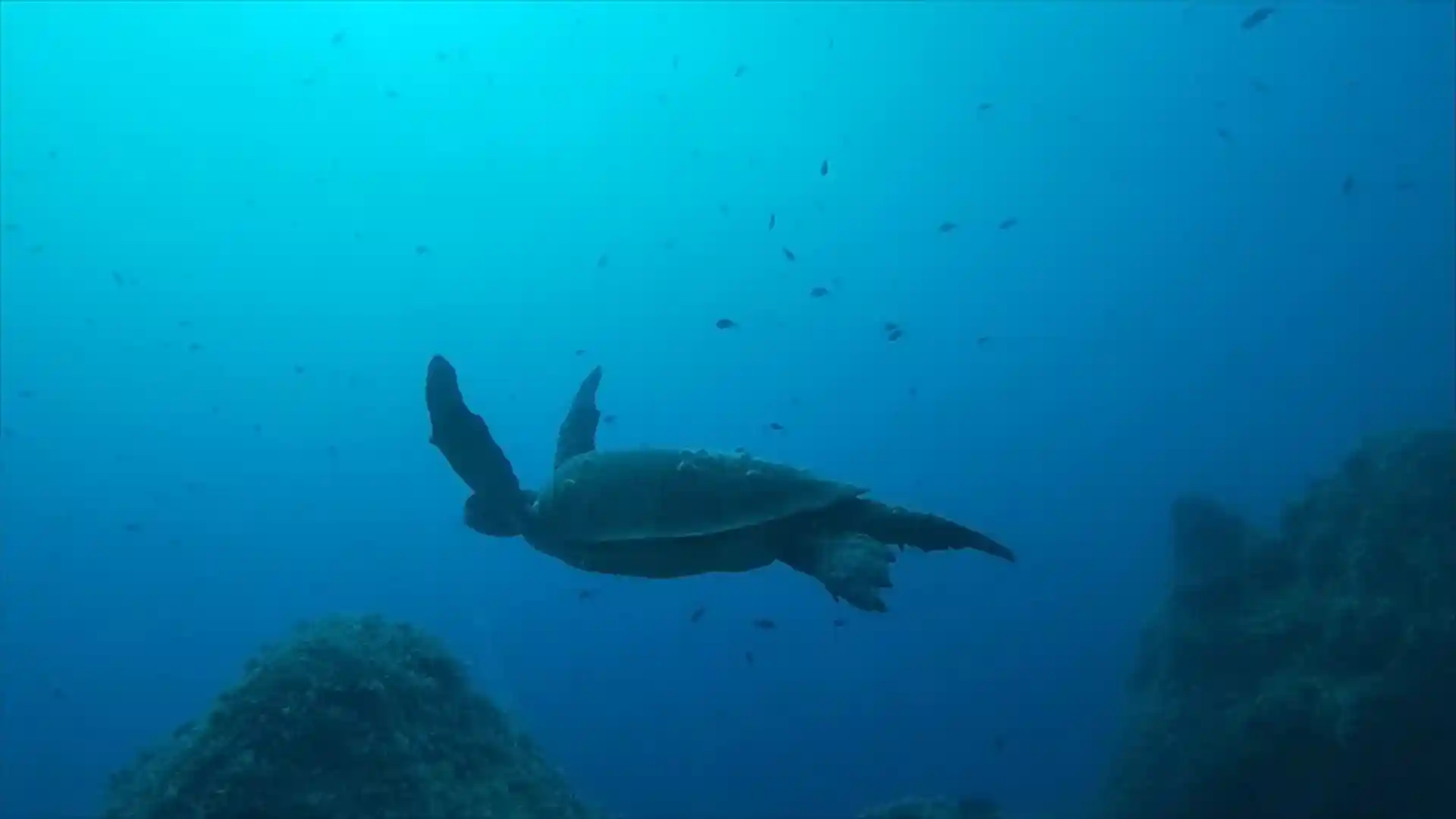 다이빙 포인트 사진