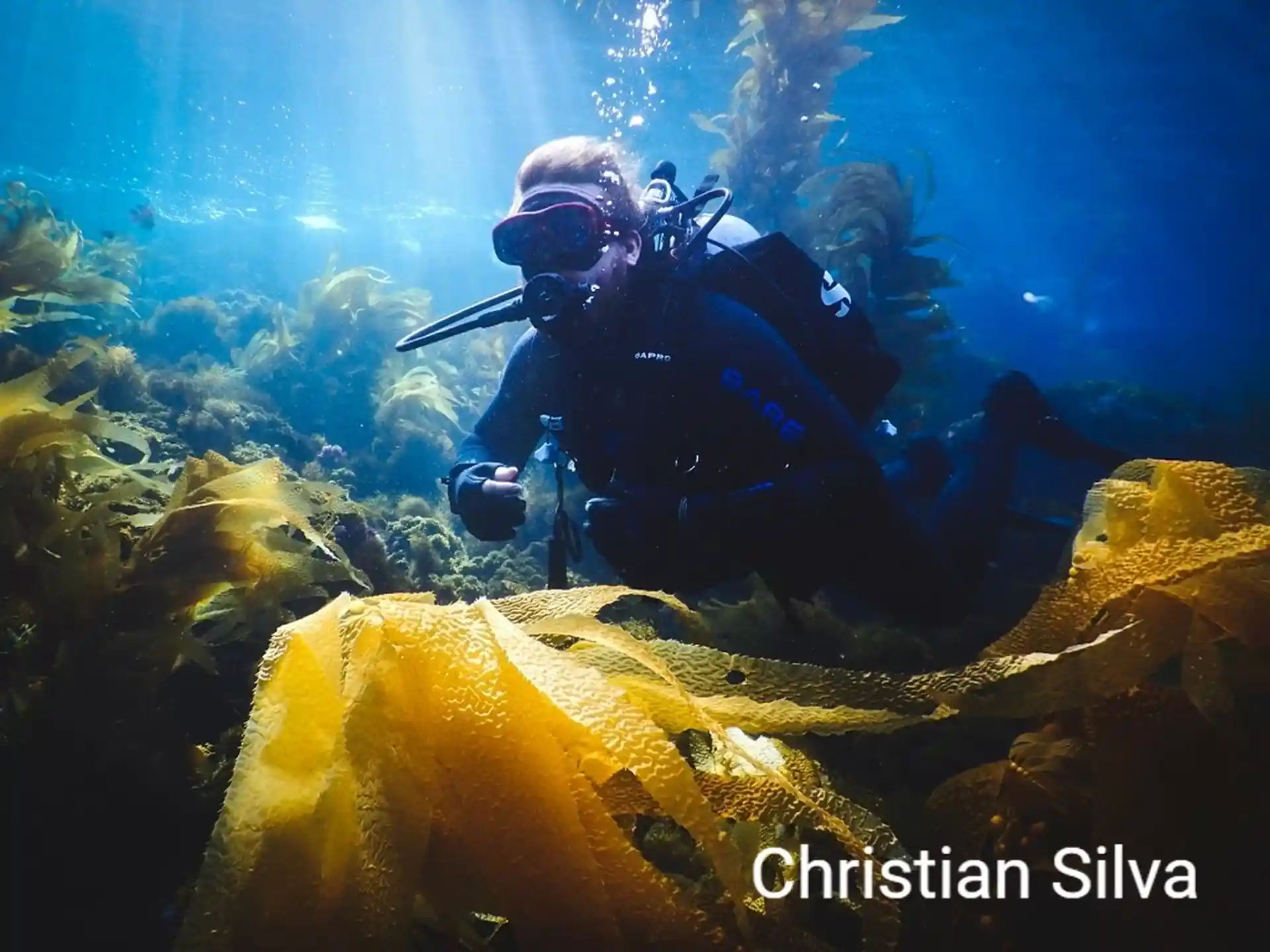 Dive shop photo
