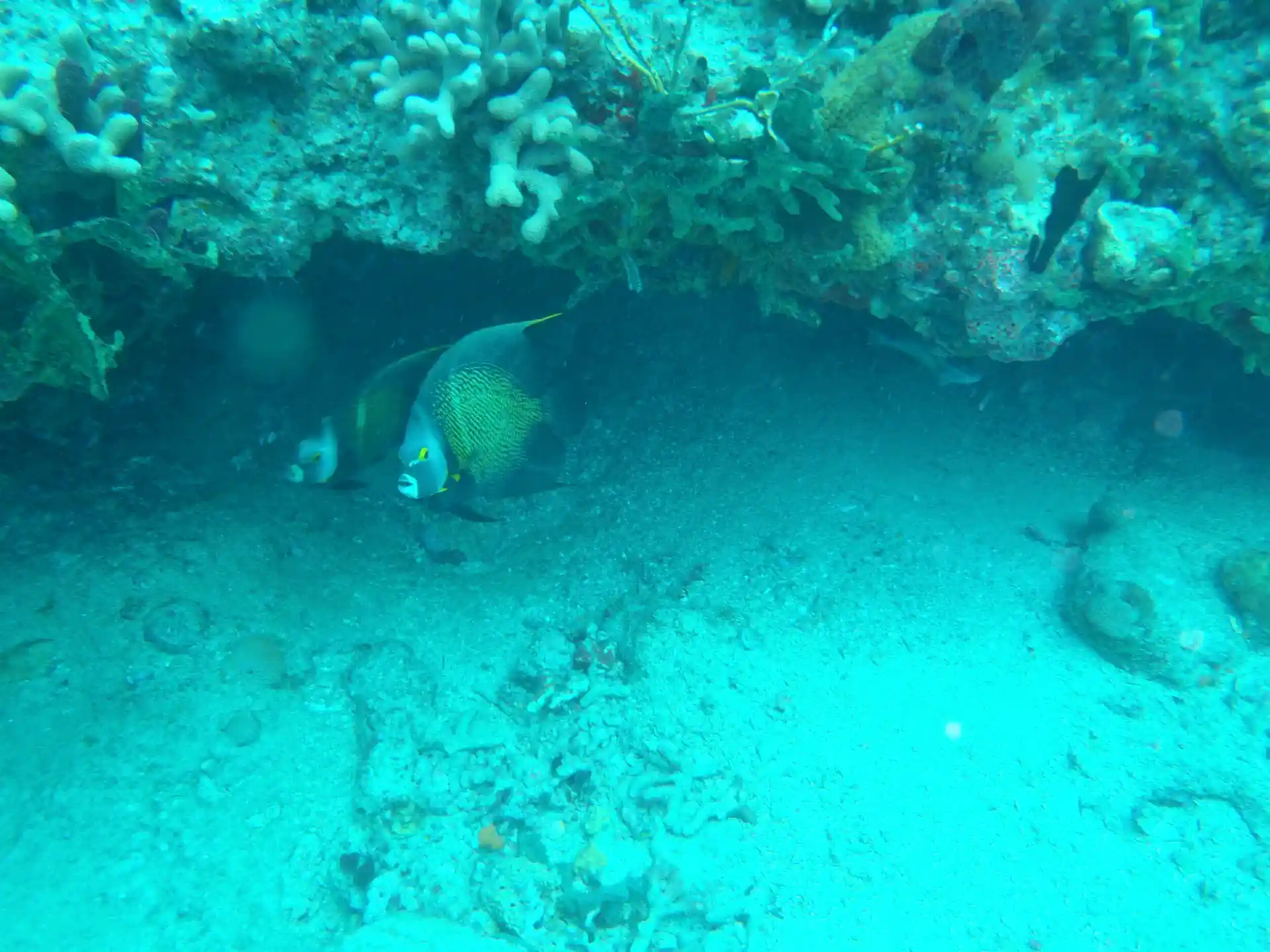 Dive shop photo