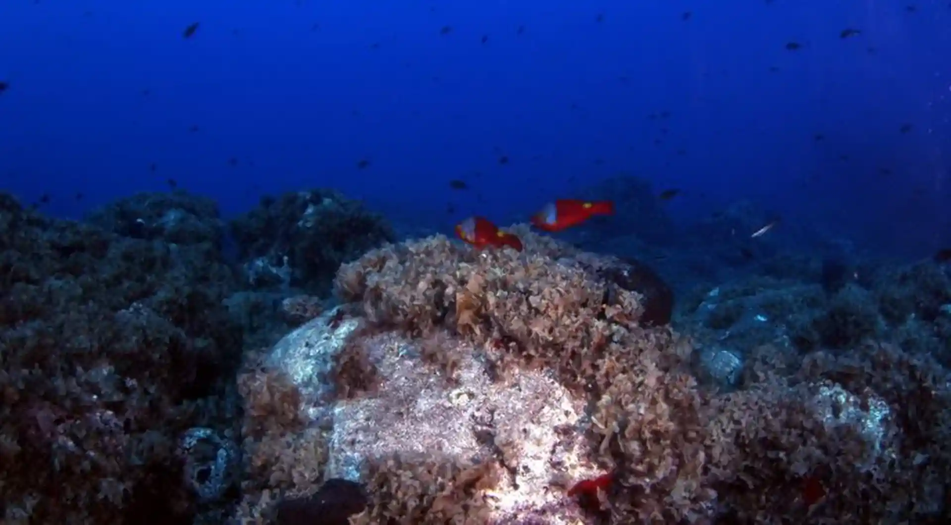 다이빙 포인트 사진