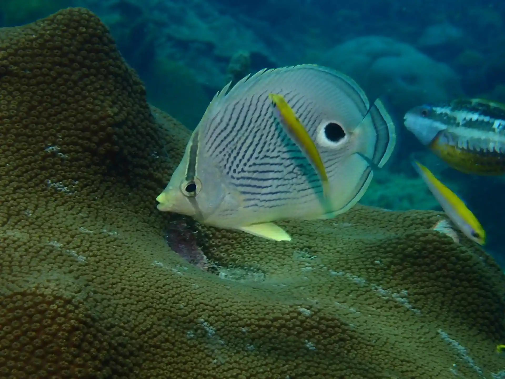 Dive site photo