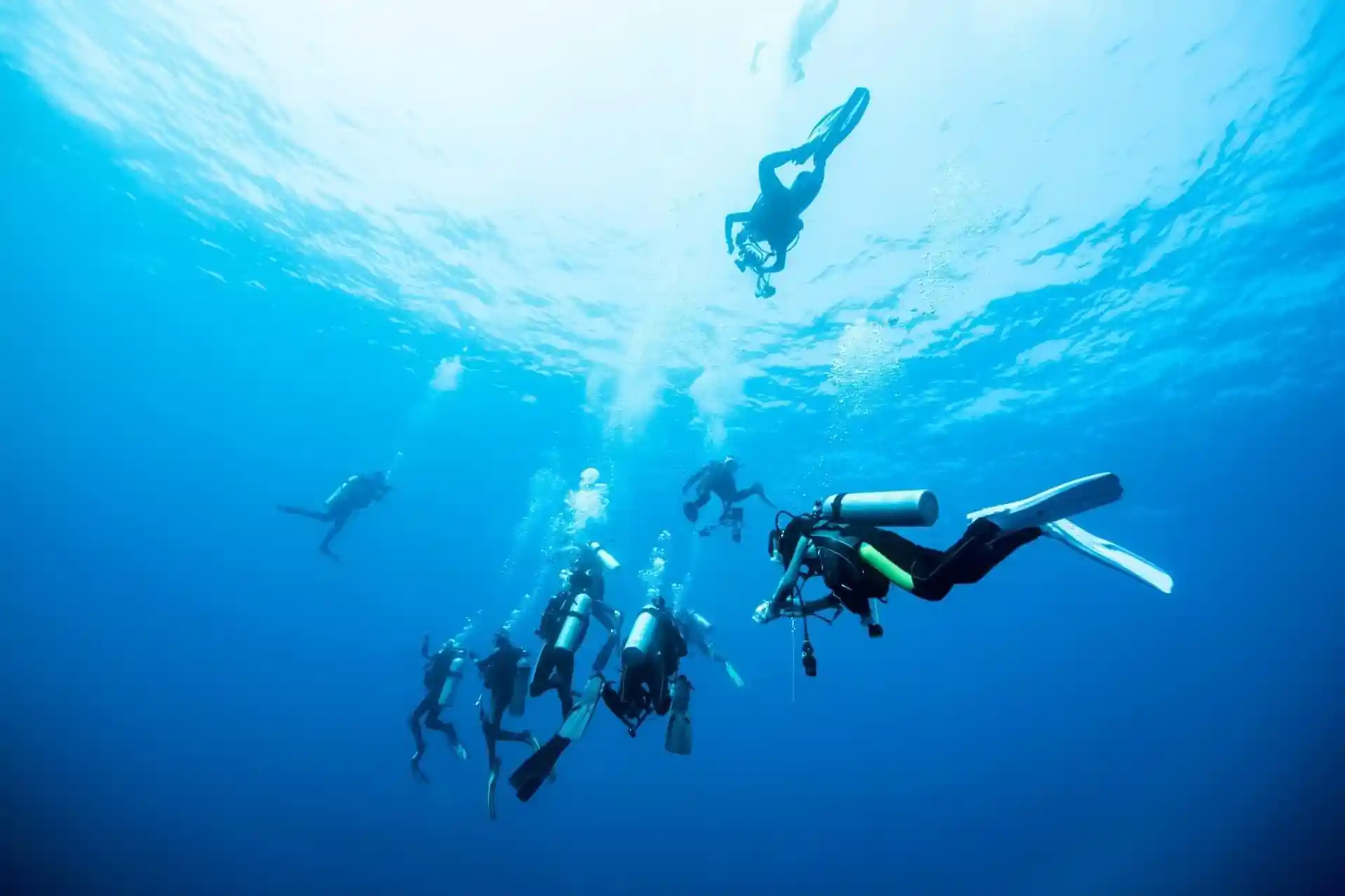 Enjoy taking your skills to the next level of diving!