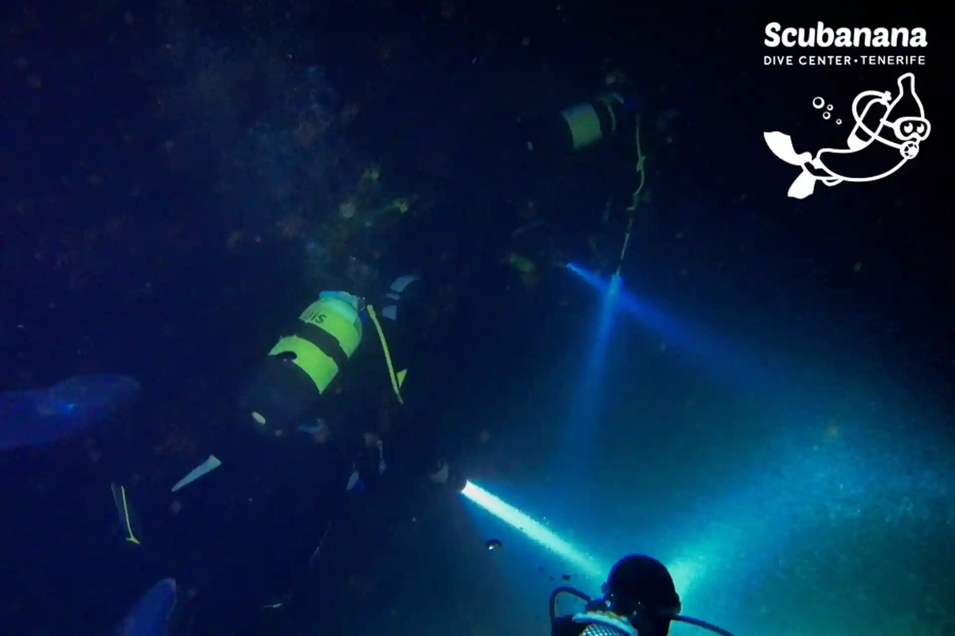 Photo de l'activité