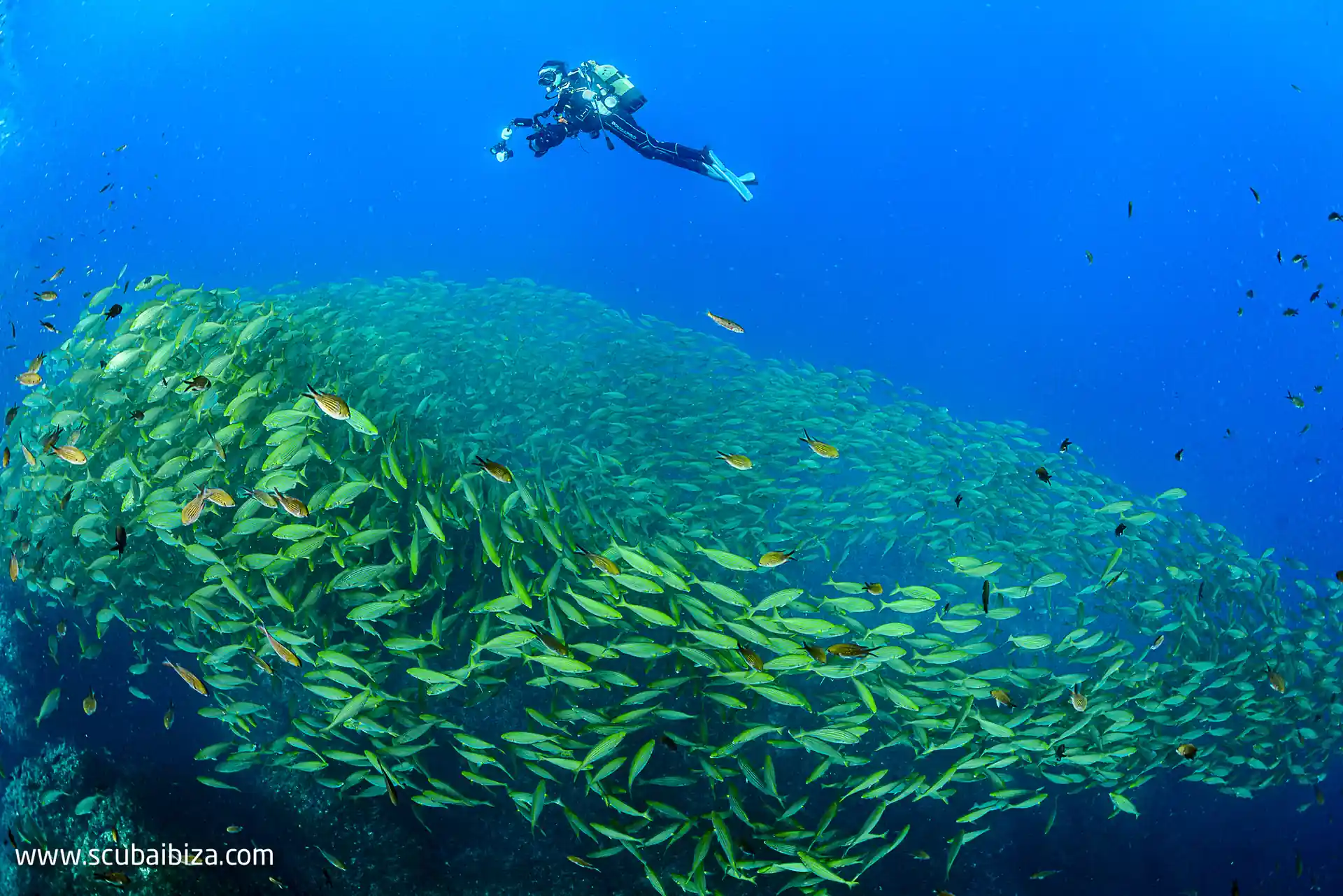 Foto de la actividad