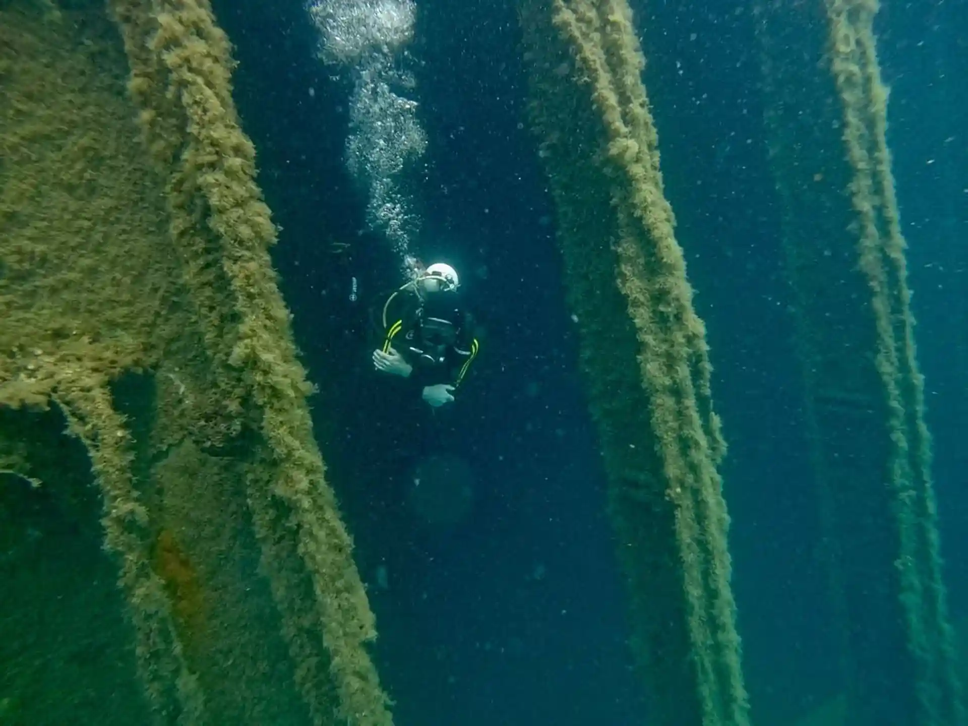 Dive site photo