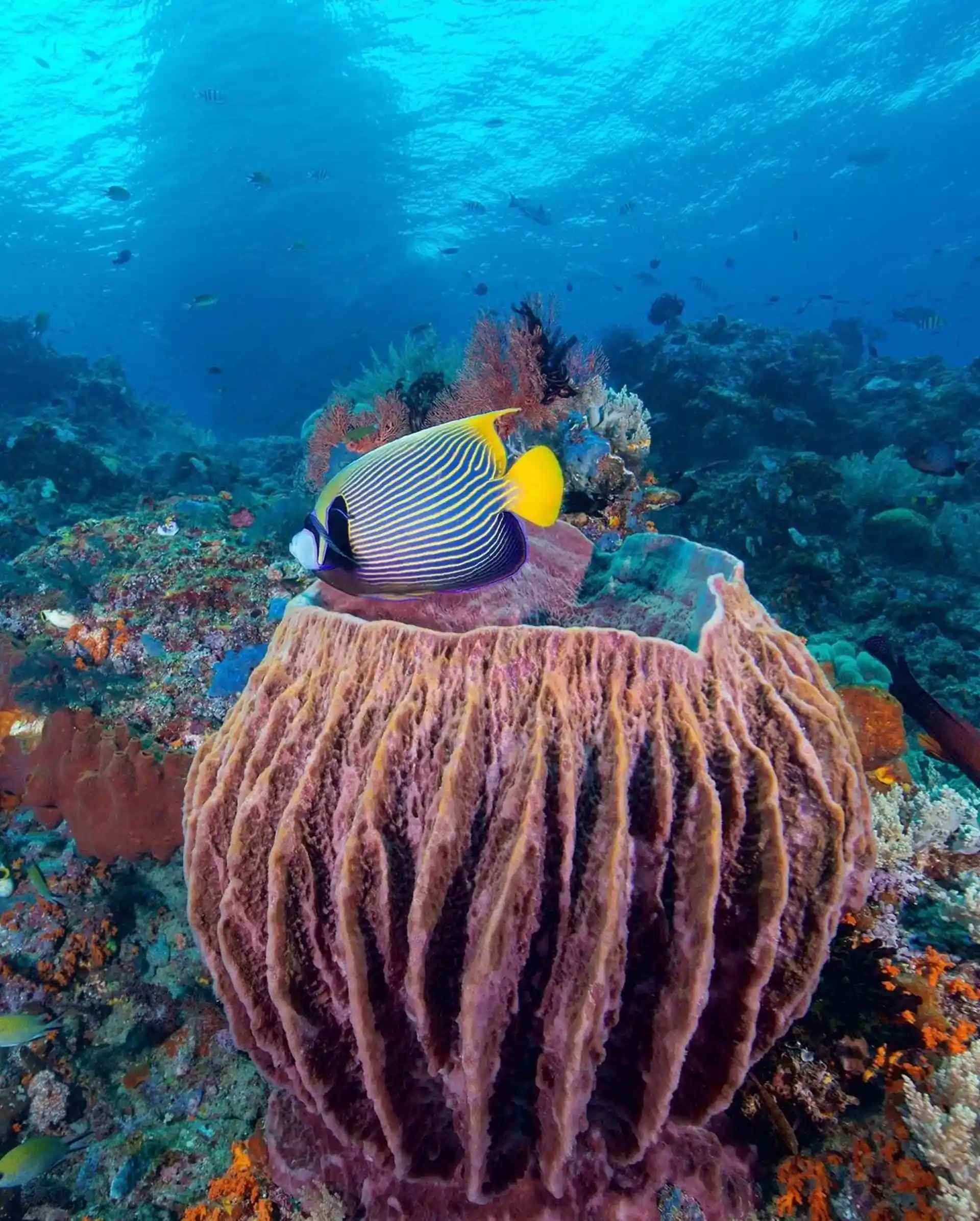 Foto del sitio de buceo