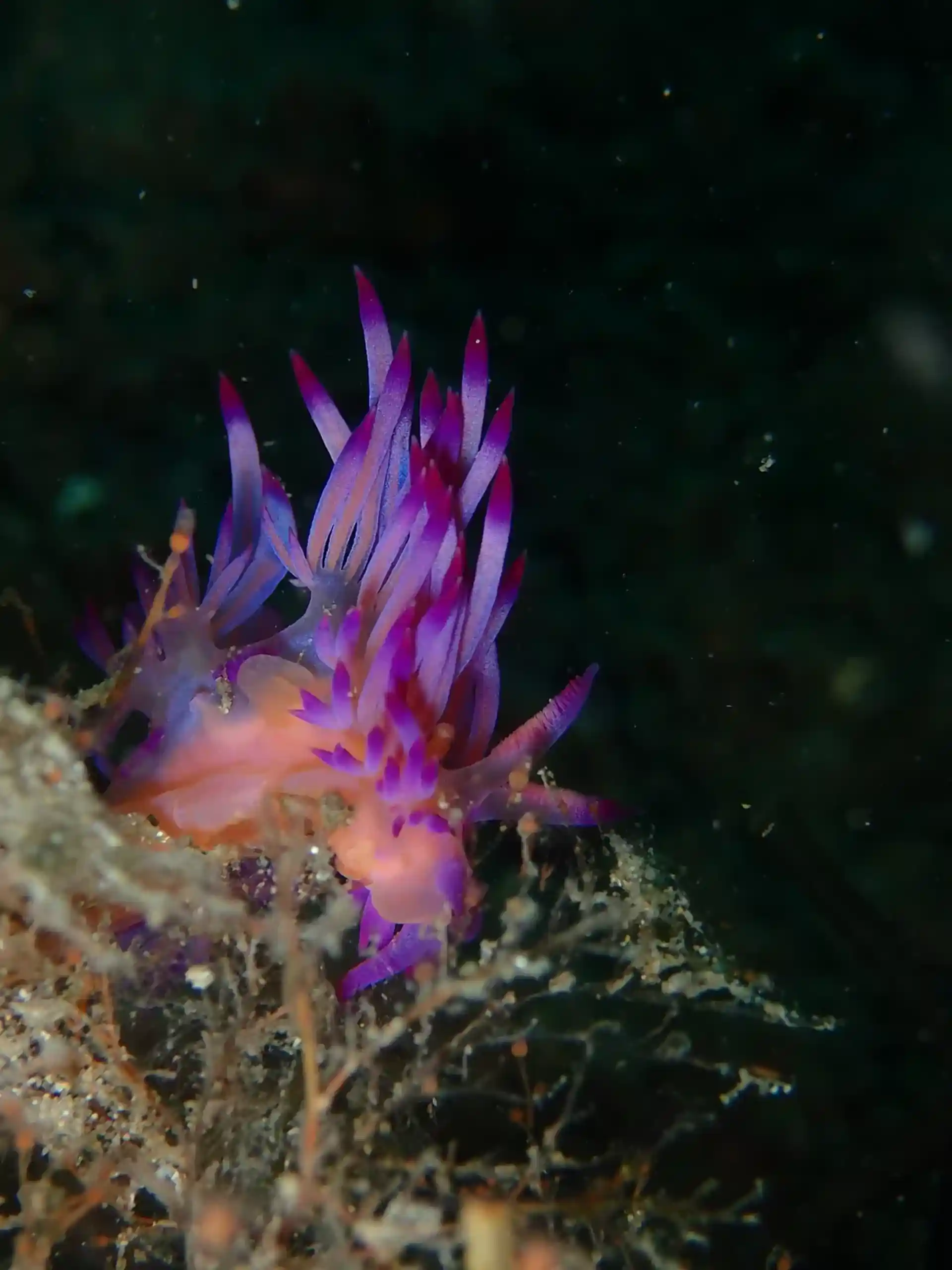 Dive site photo