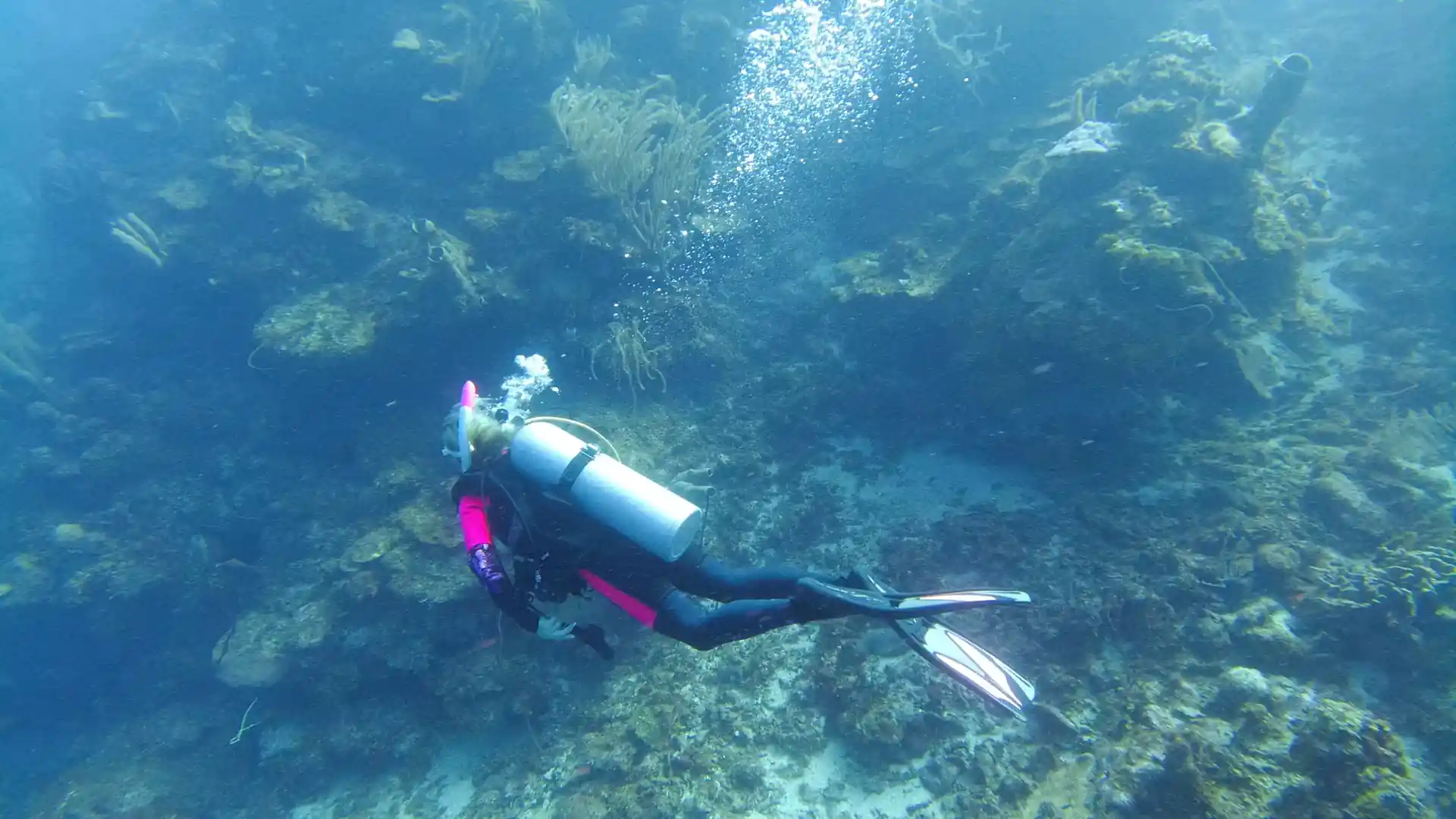 Dive site photo