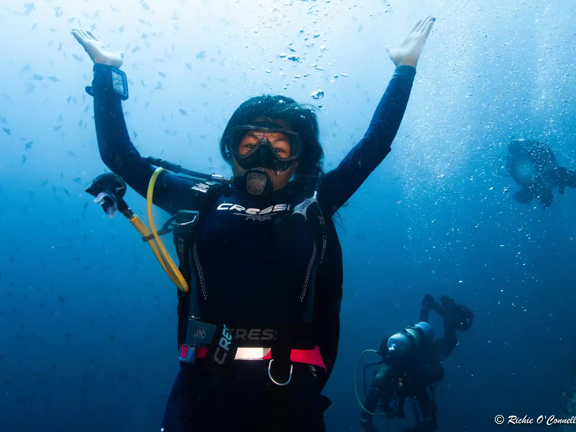 Photo de l'activité