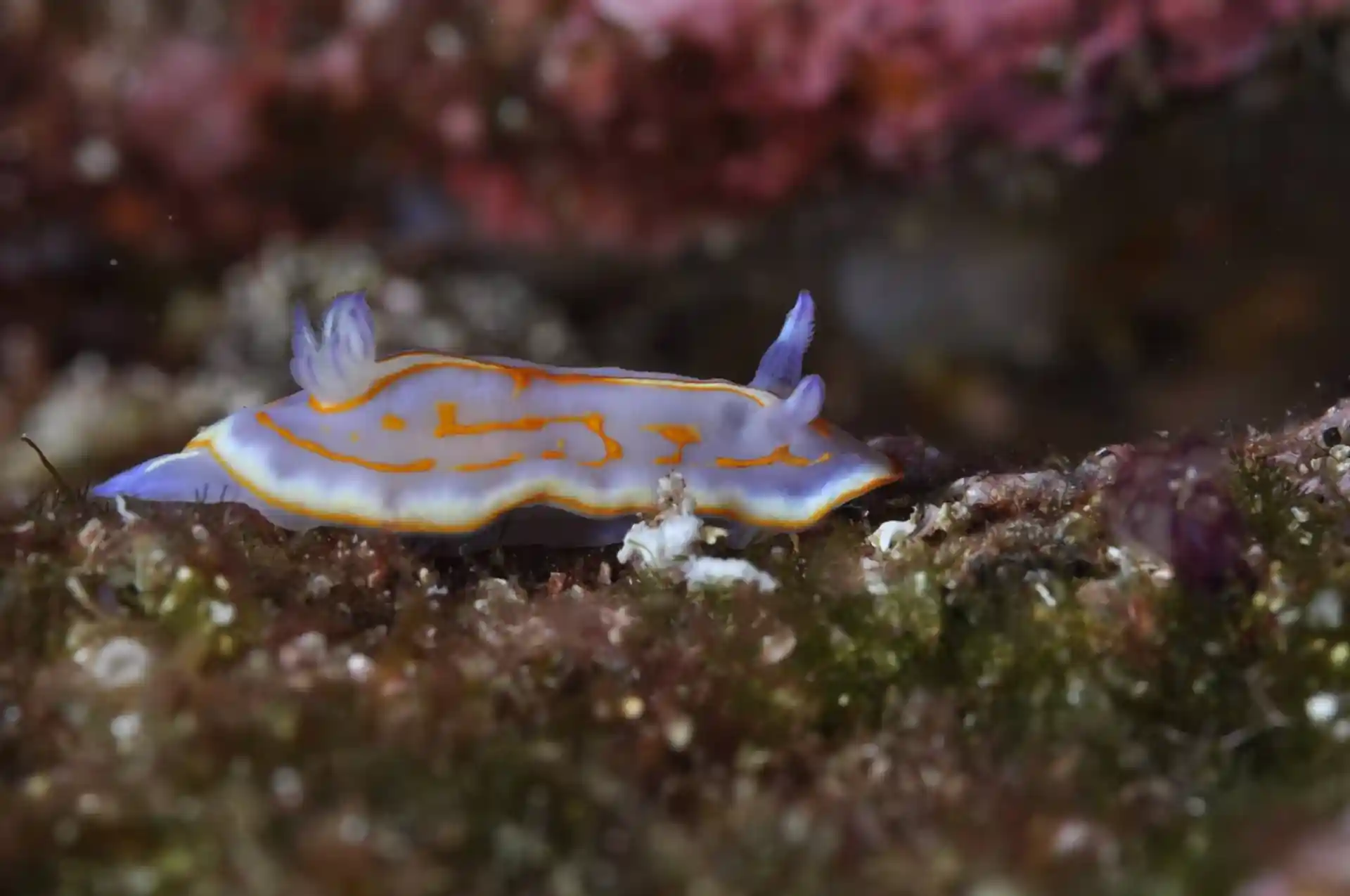 Foto de la actividad