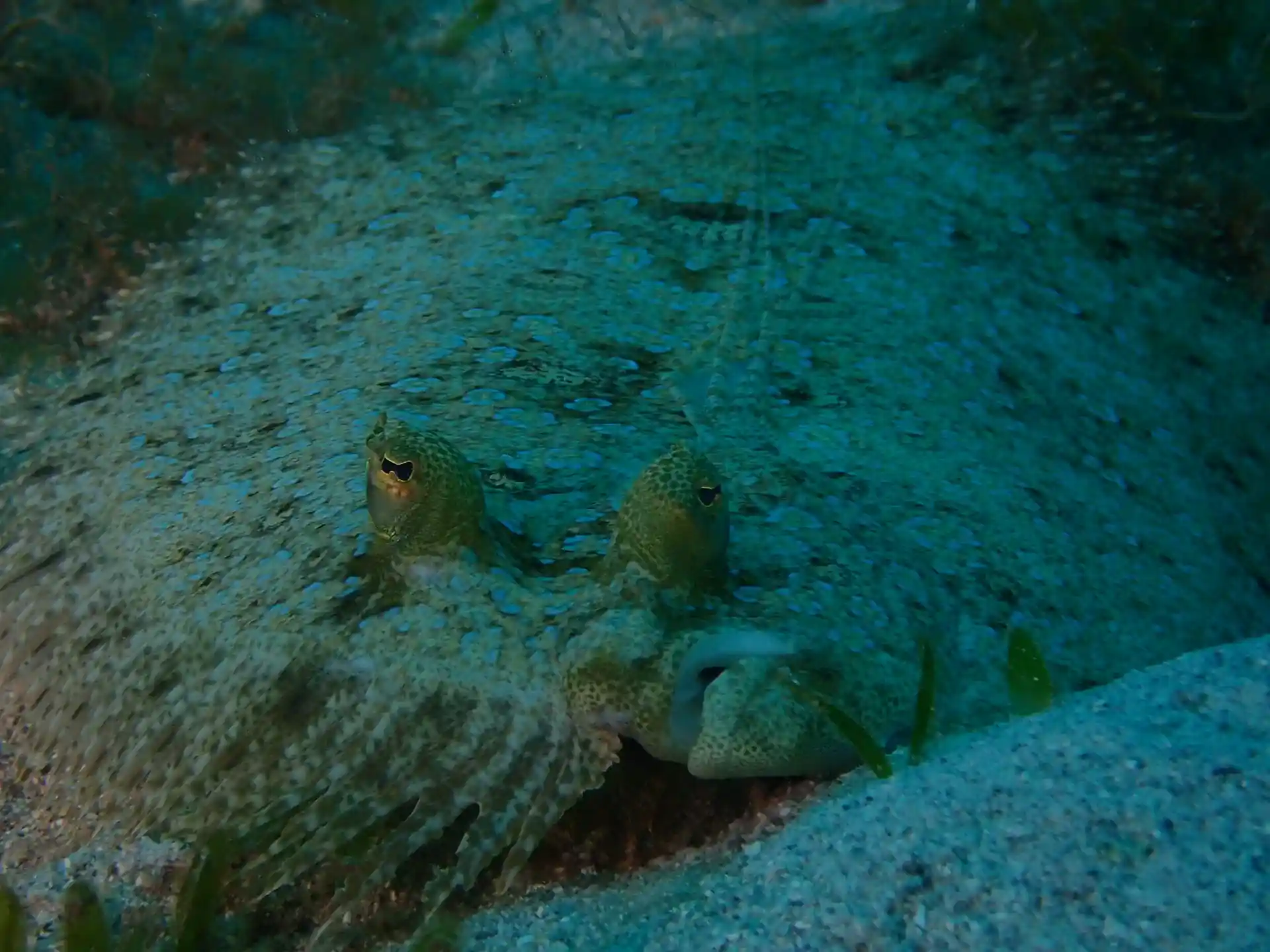 Dive site photo