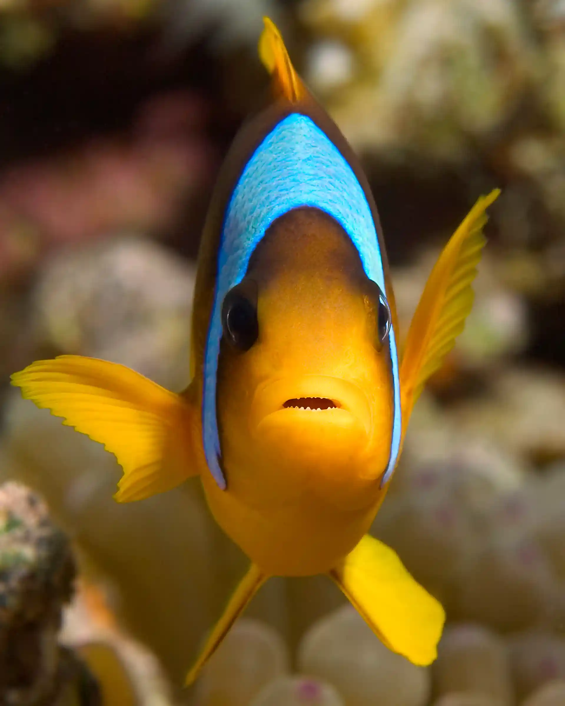 Dive shop photo
