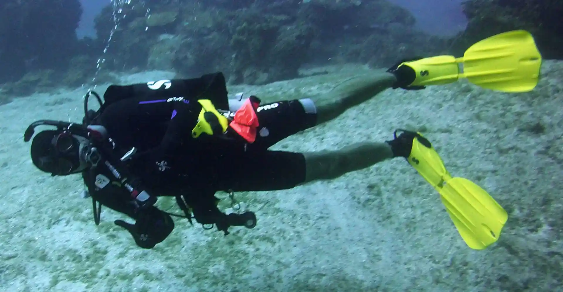 Foto de la tienda de buceo
