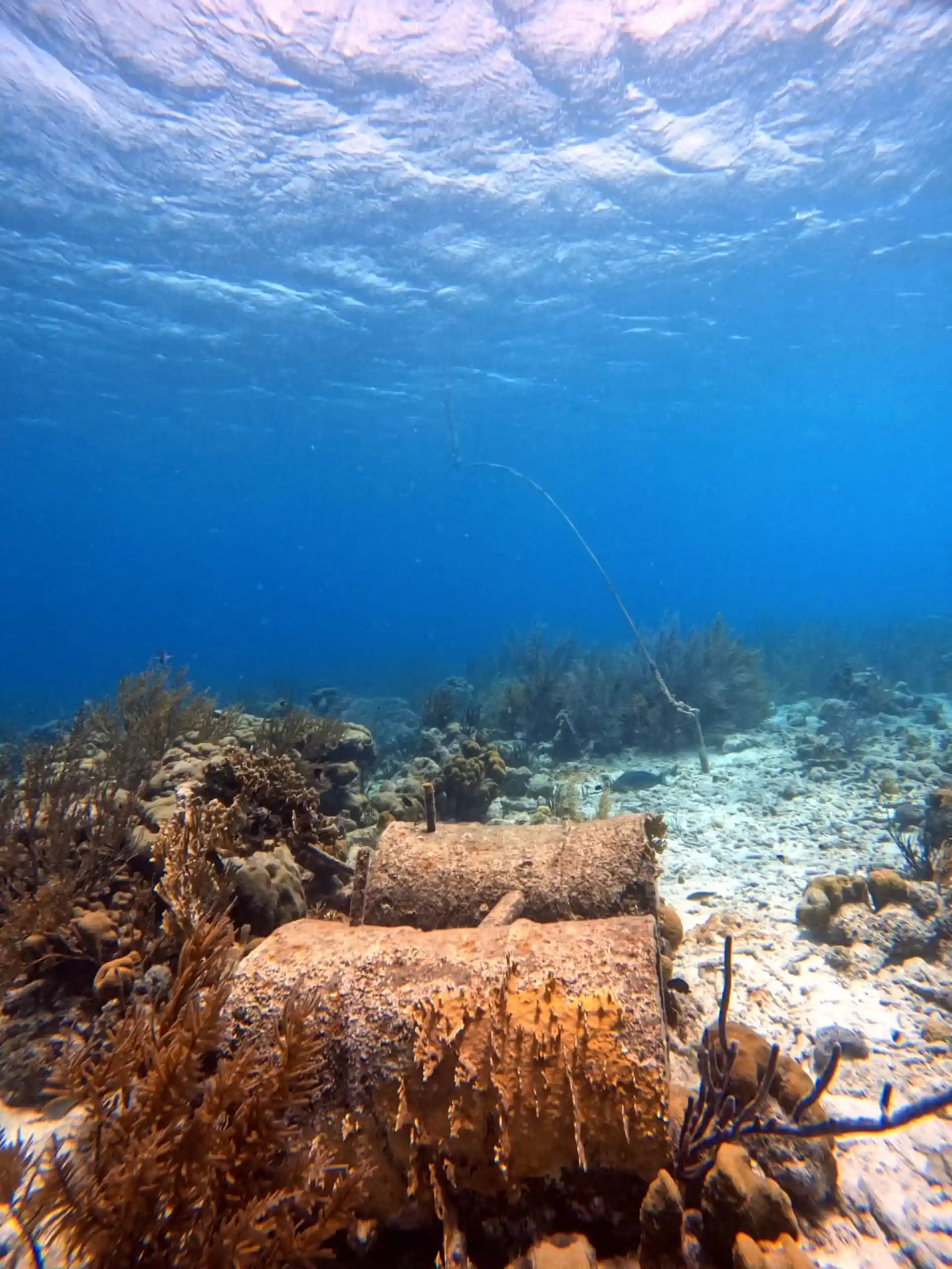 Dive site photo