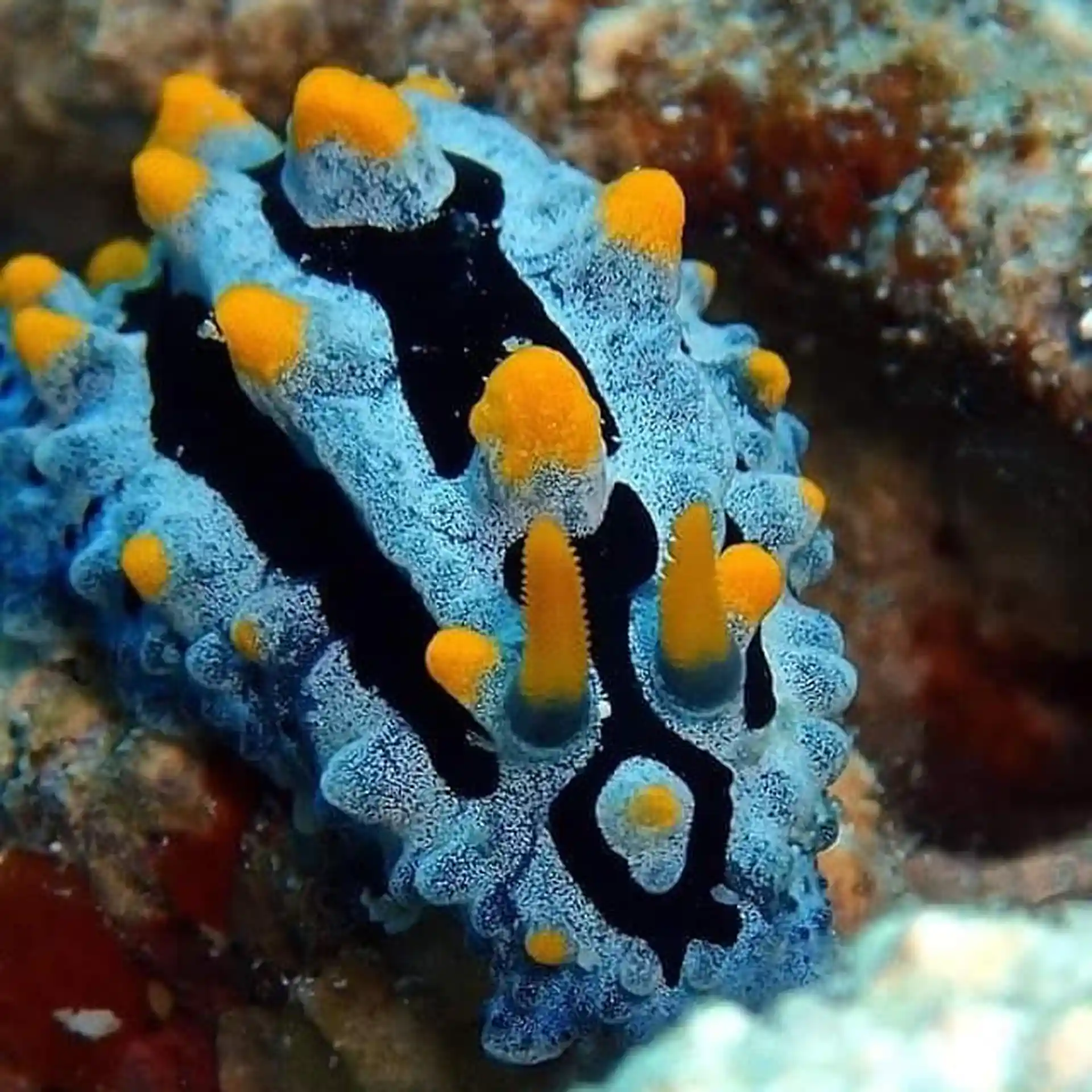 Foto des Tauchplatzes