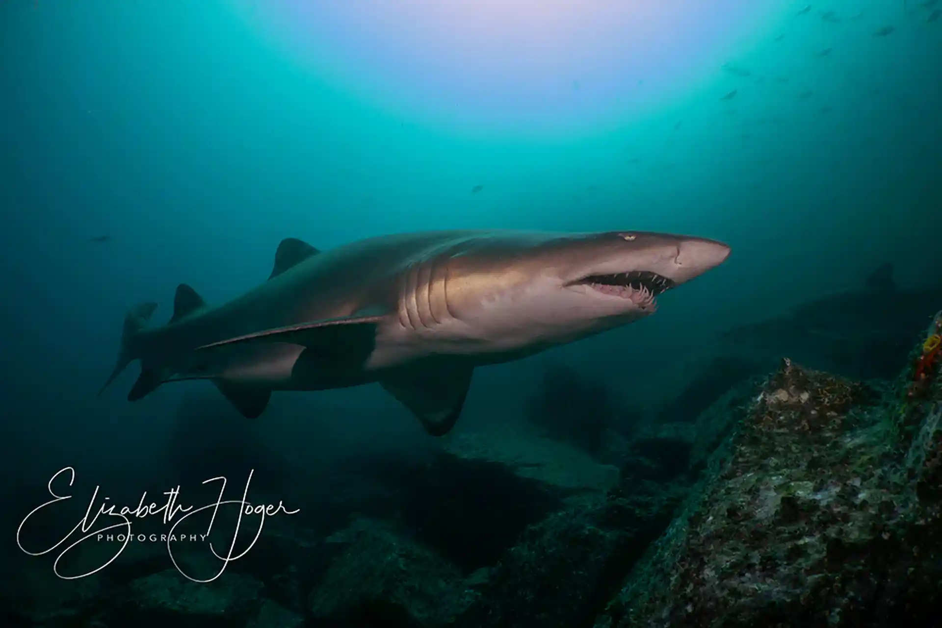 다이빙 포인트 사진