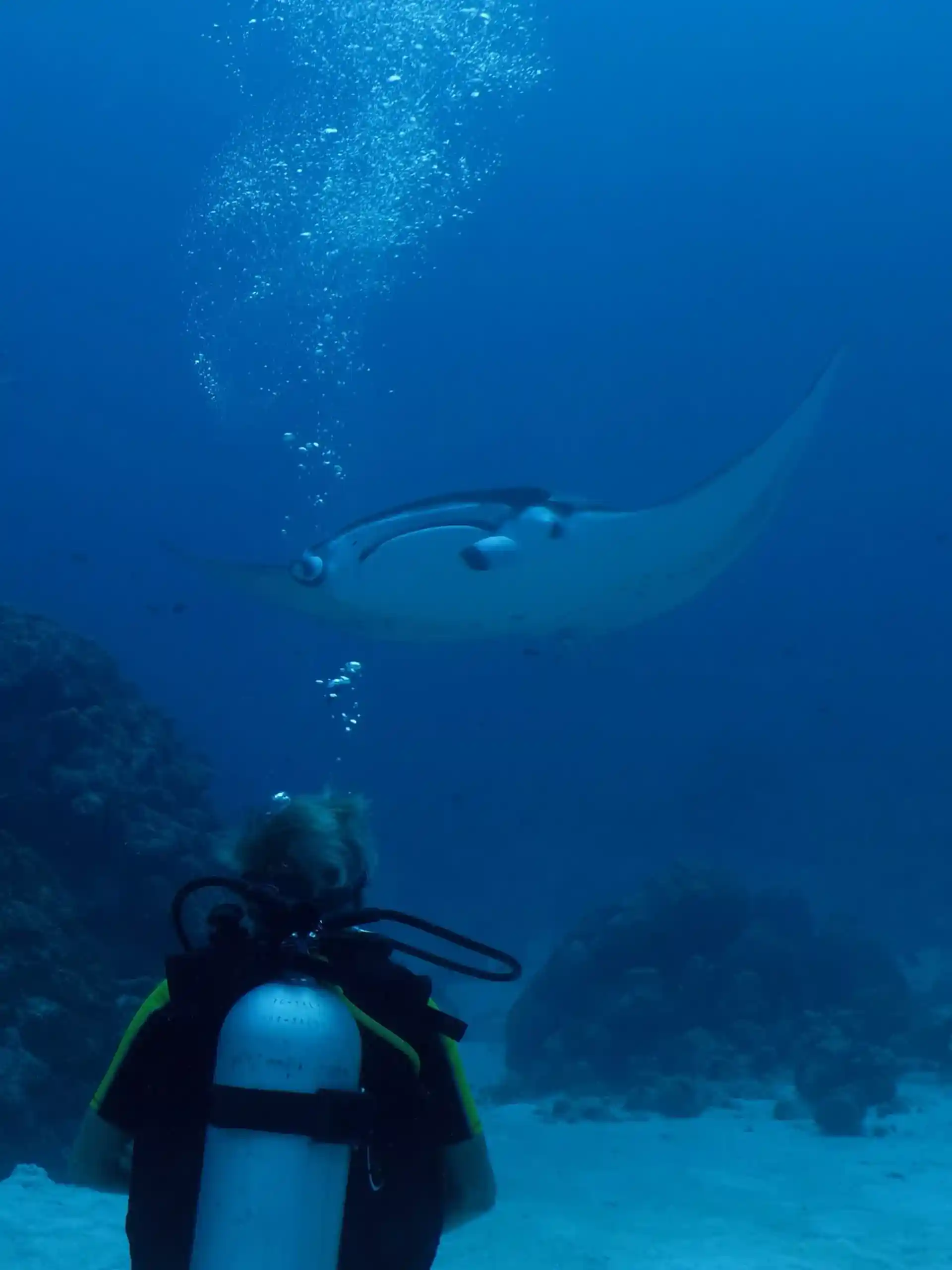 Dive site photo