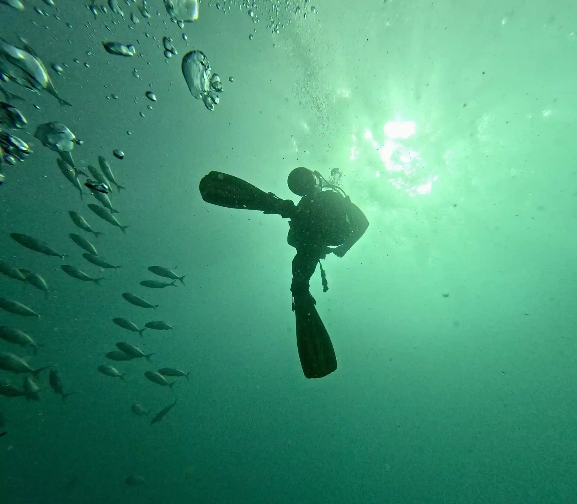 다이빙 포인트 사진