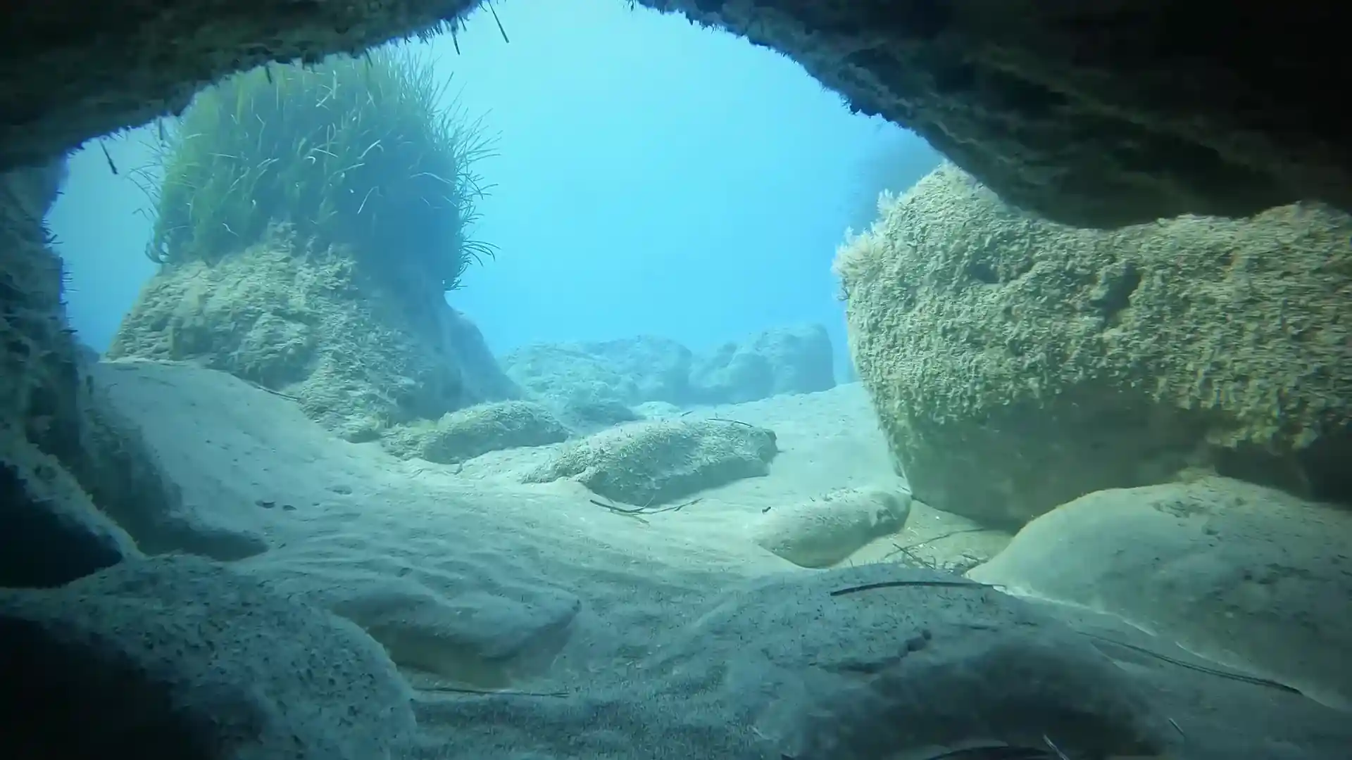 Dive site photo