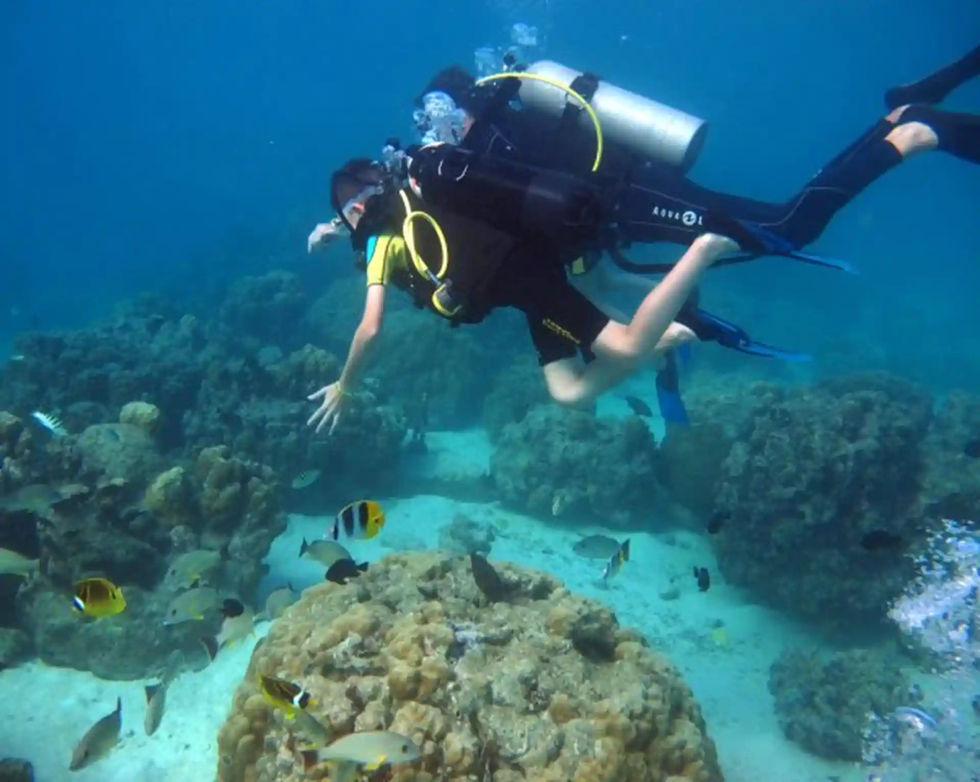 Dive site photo