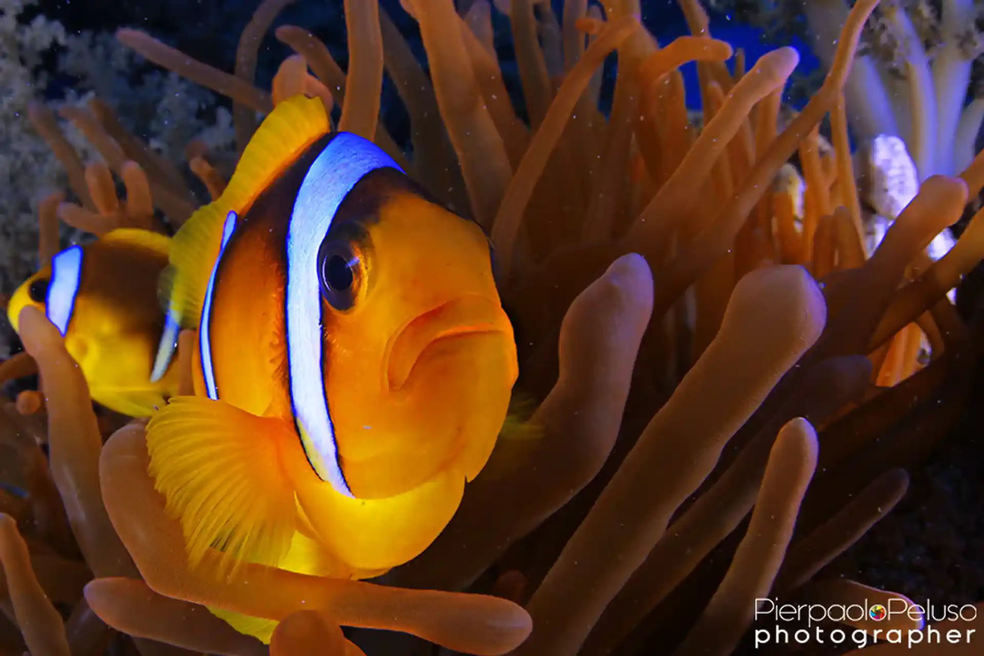 Dive shop photo