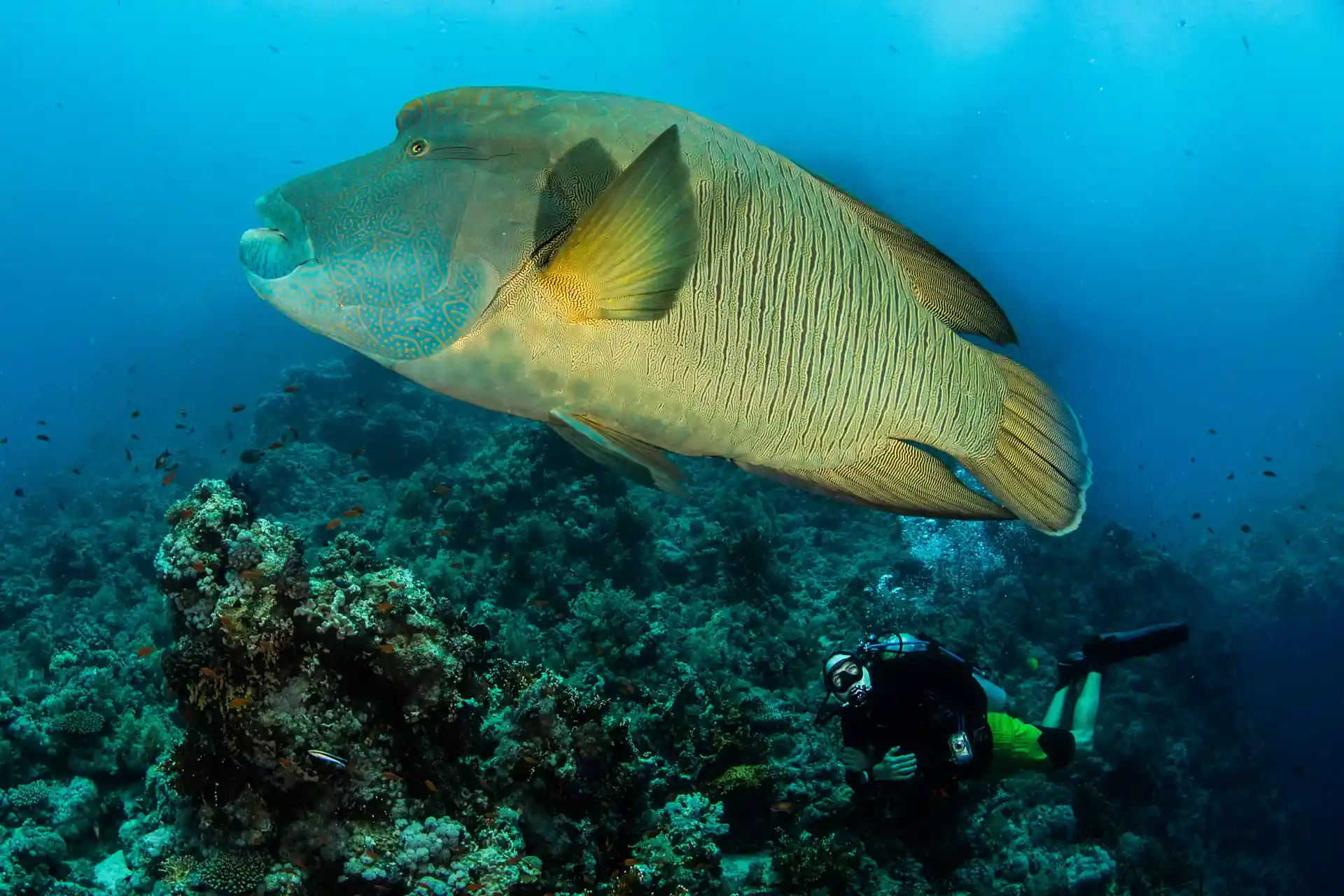 Dive site photo