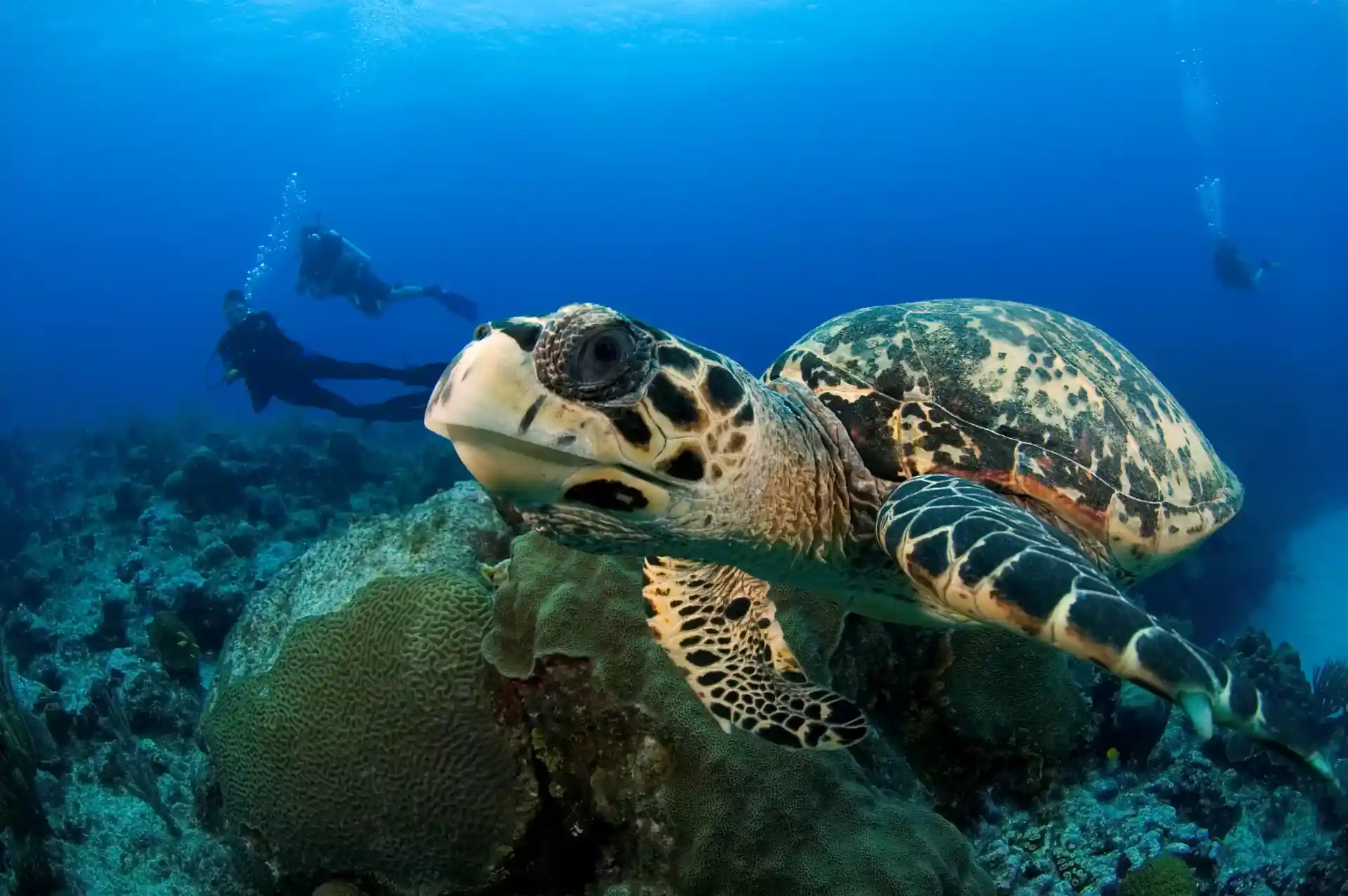 Dive site photo