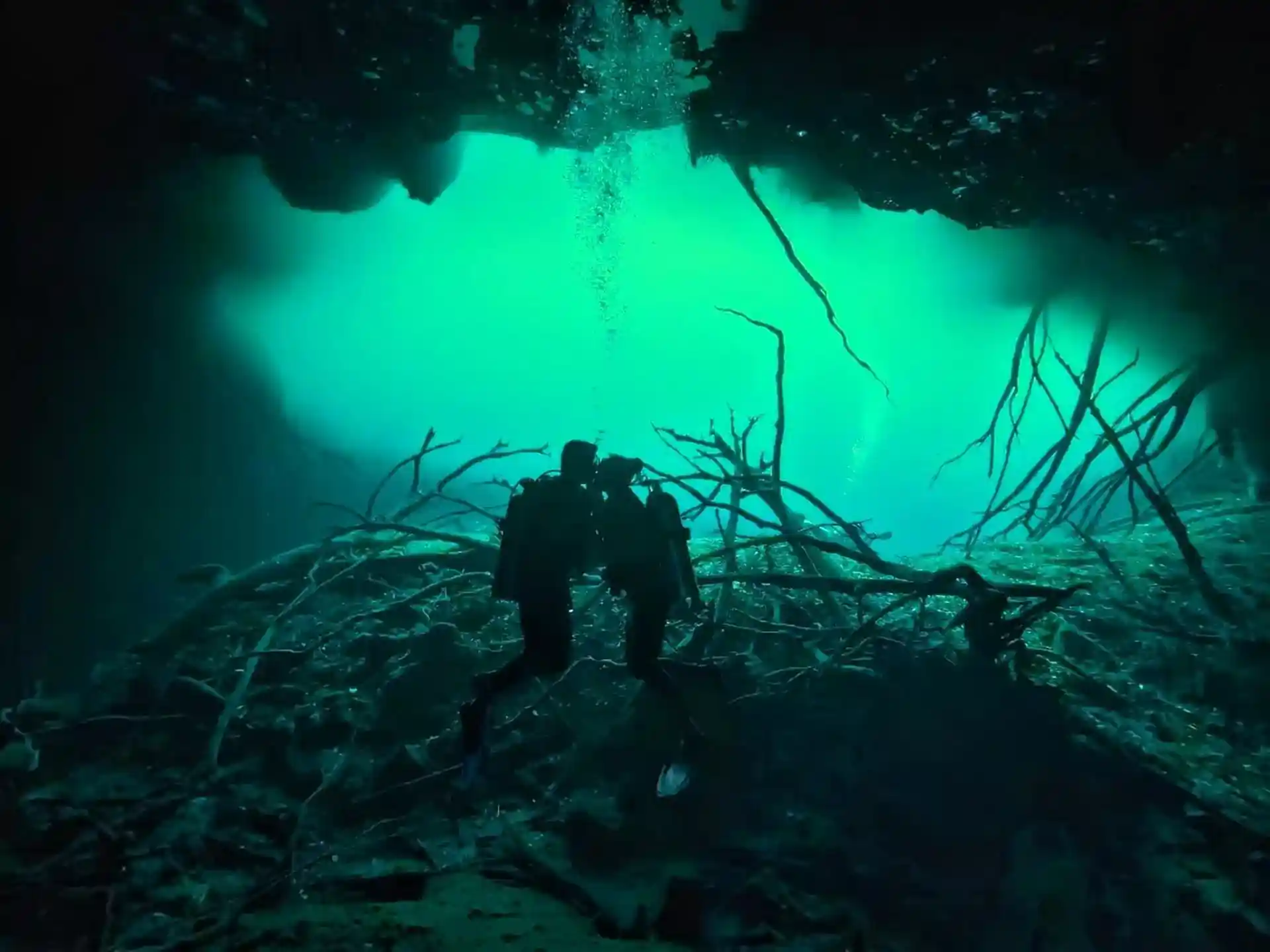 Dive shop photo
