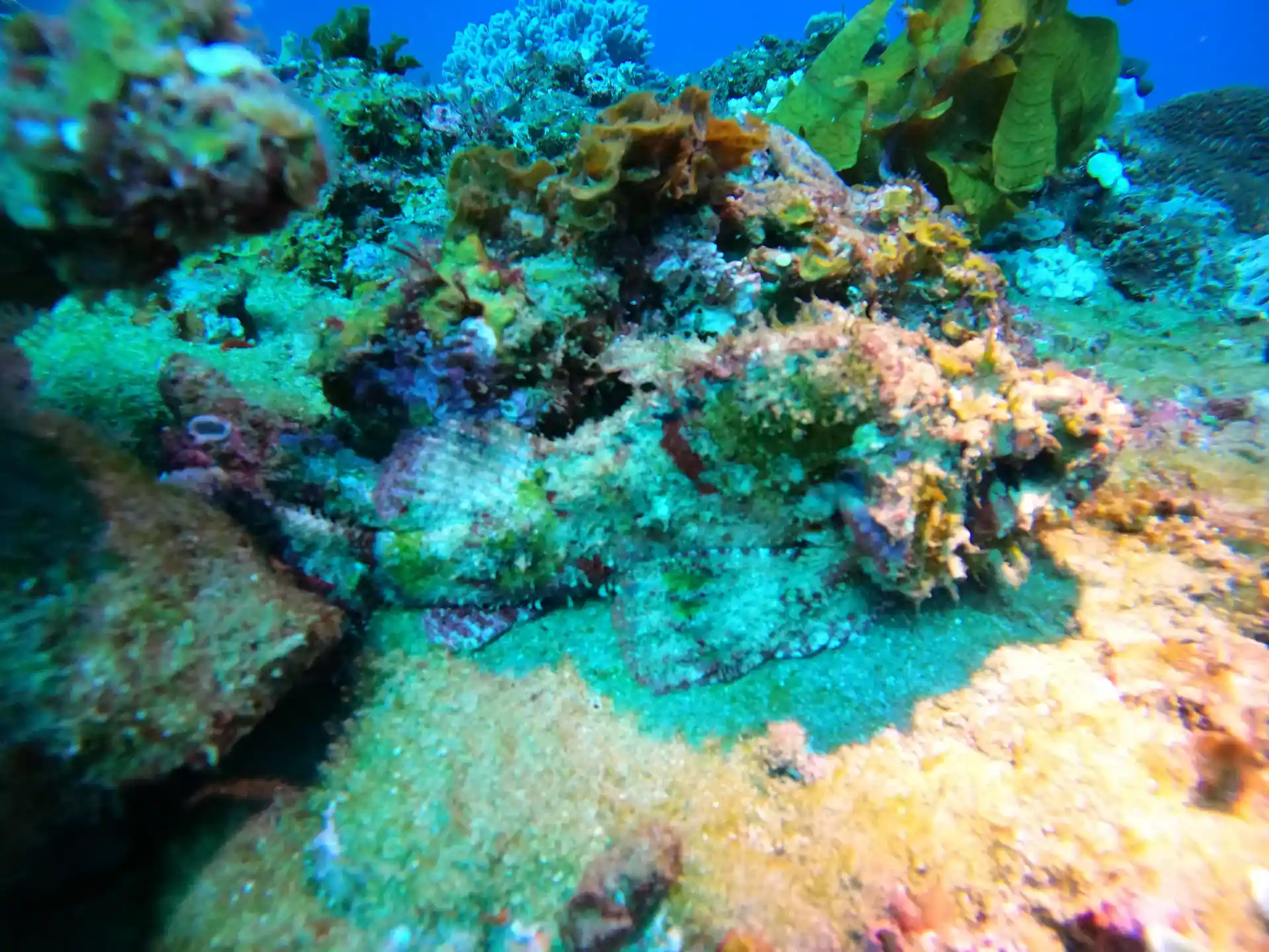 Dive shop photo