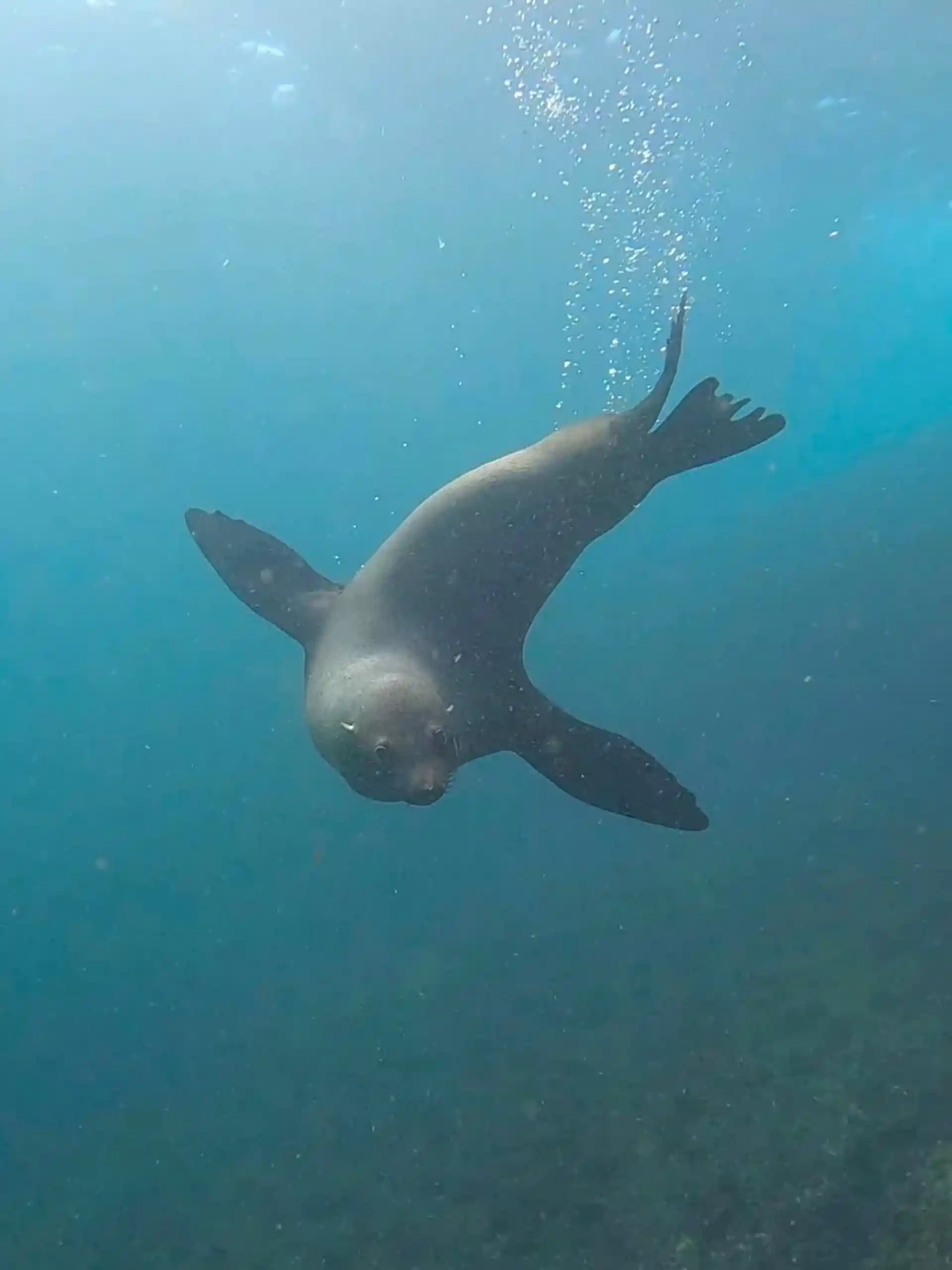 Dive site photo