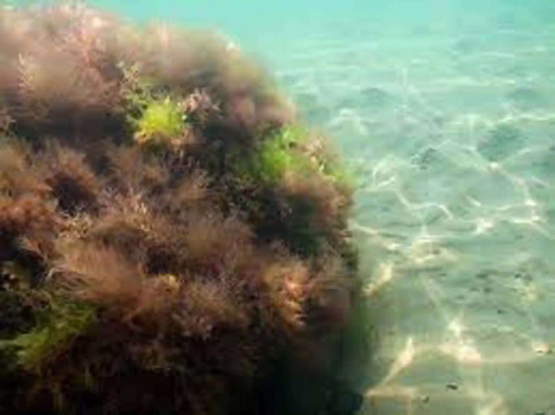 Dive site photo