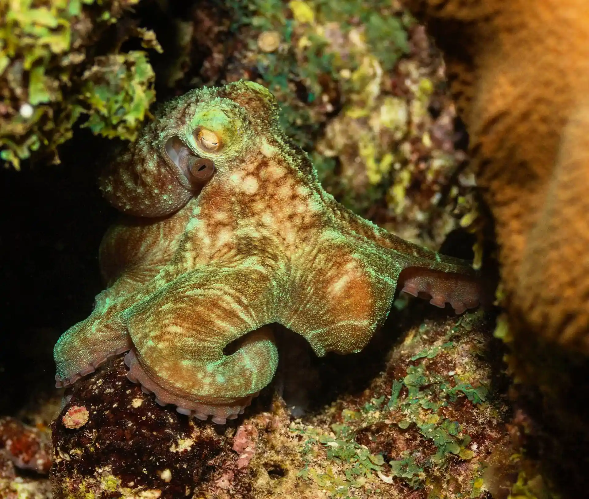 Dive site photo