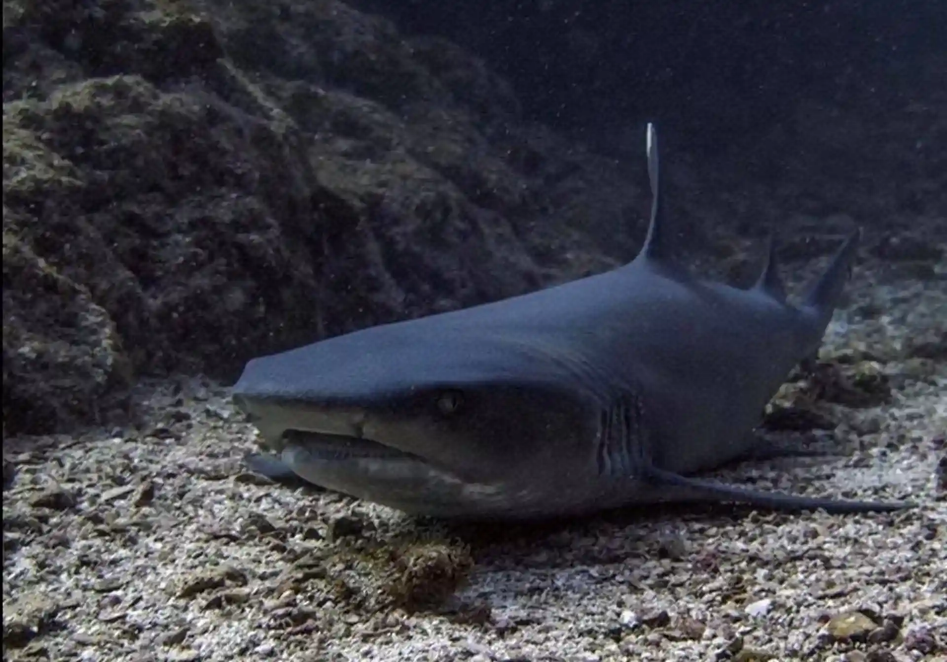 Dive site photo