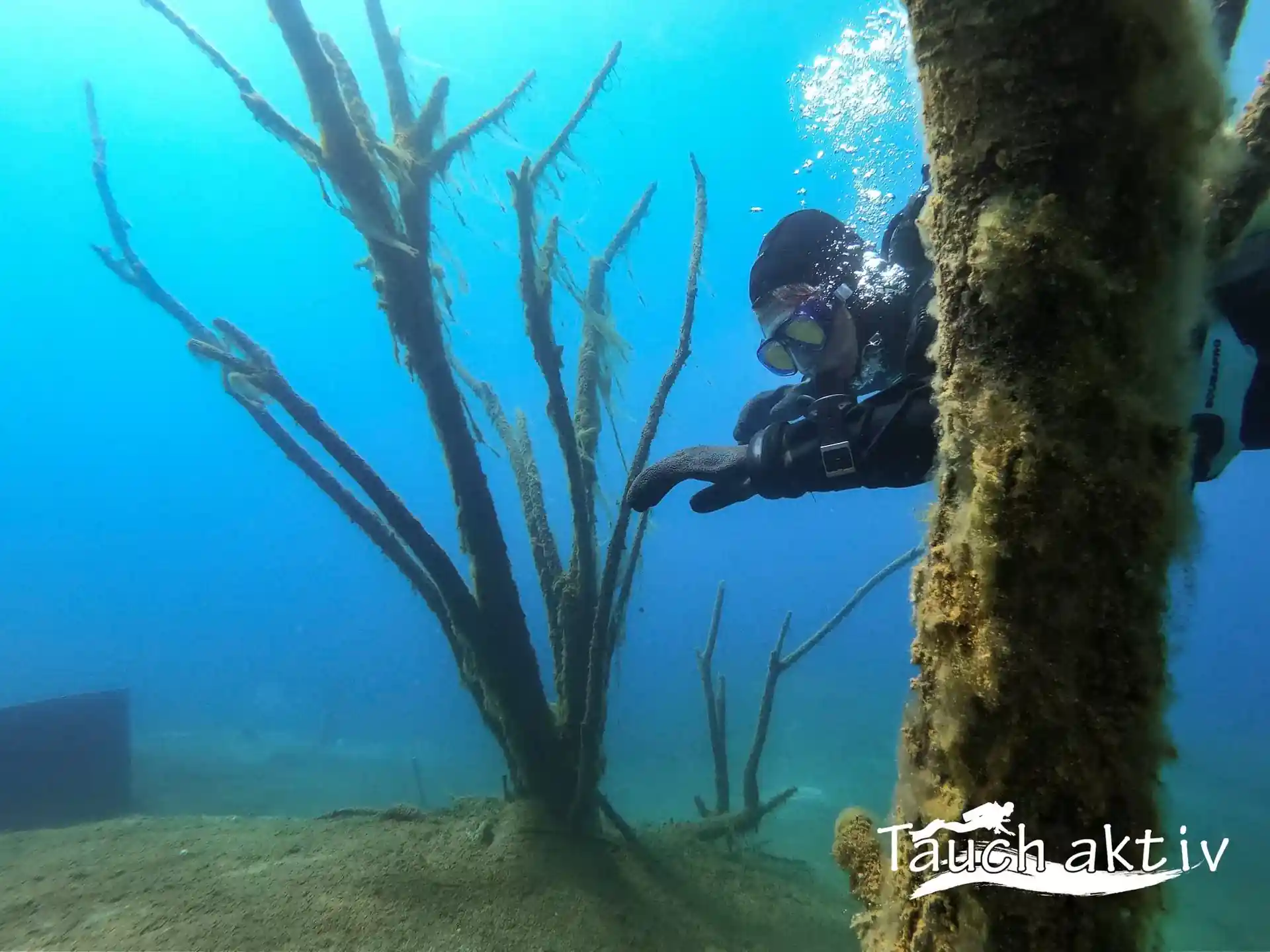 Foto del sitio de buceo