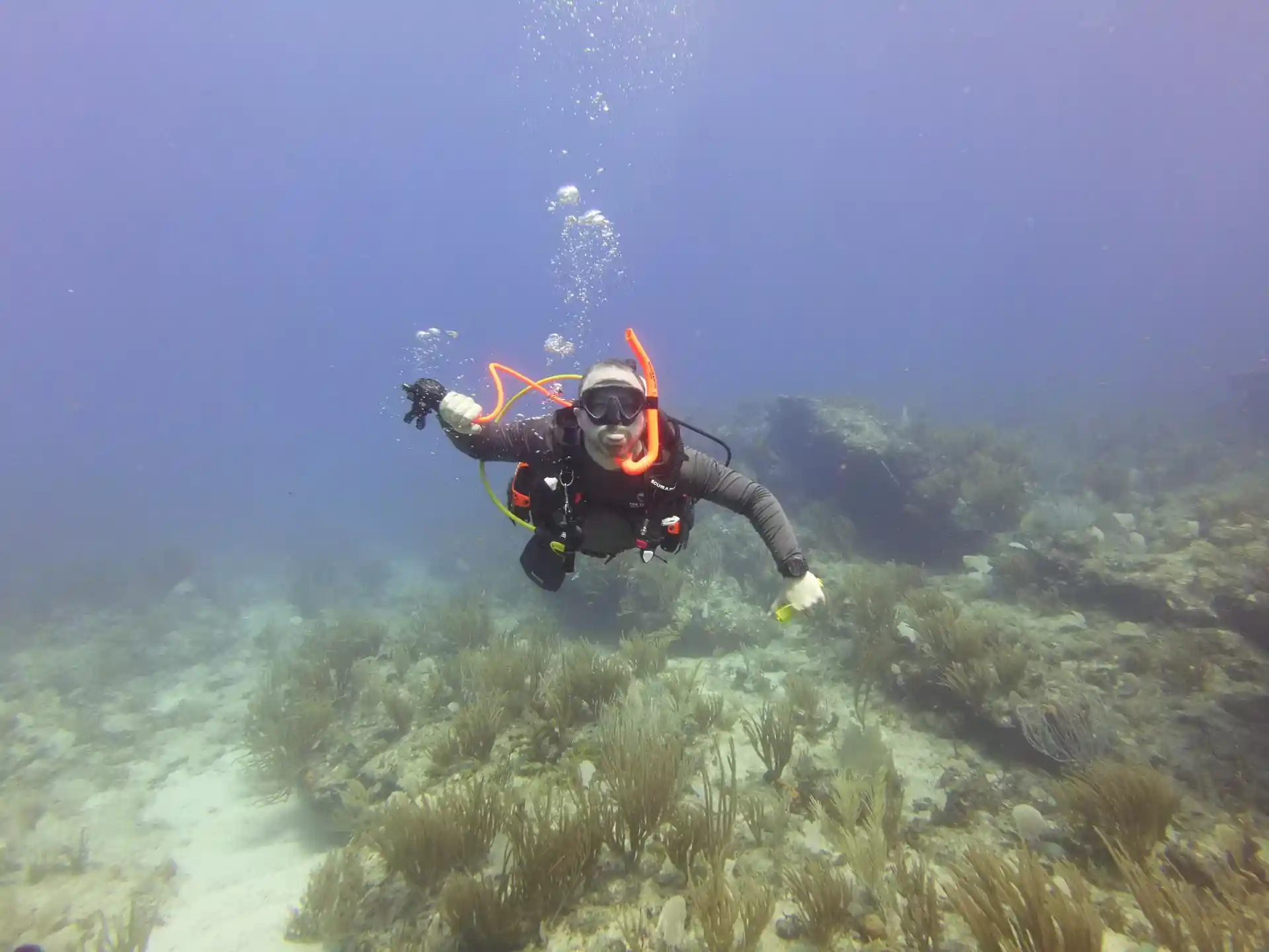 Dive site photo