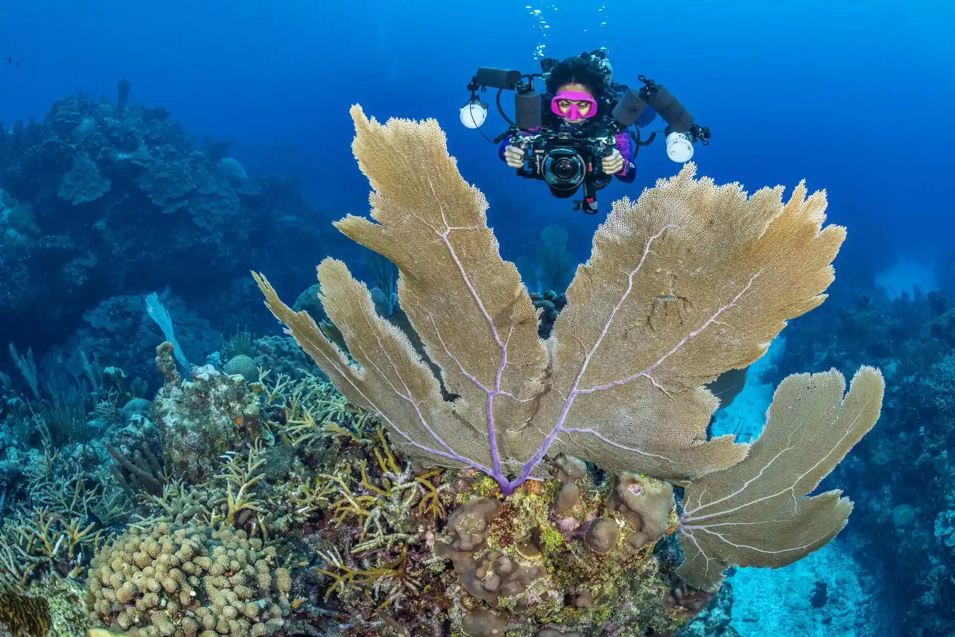 Dive site photo