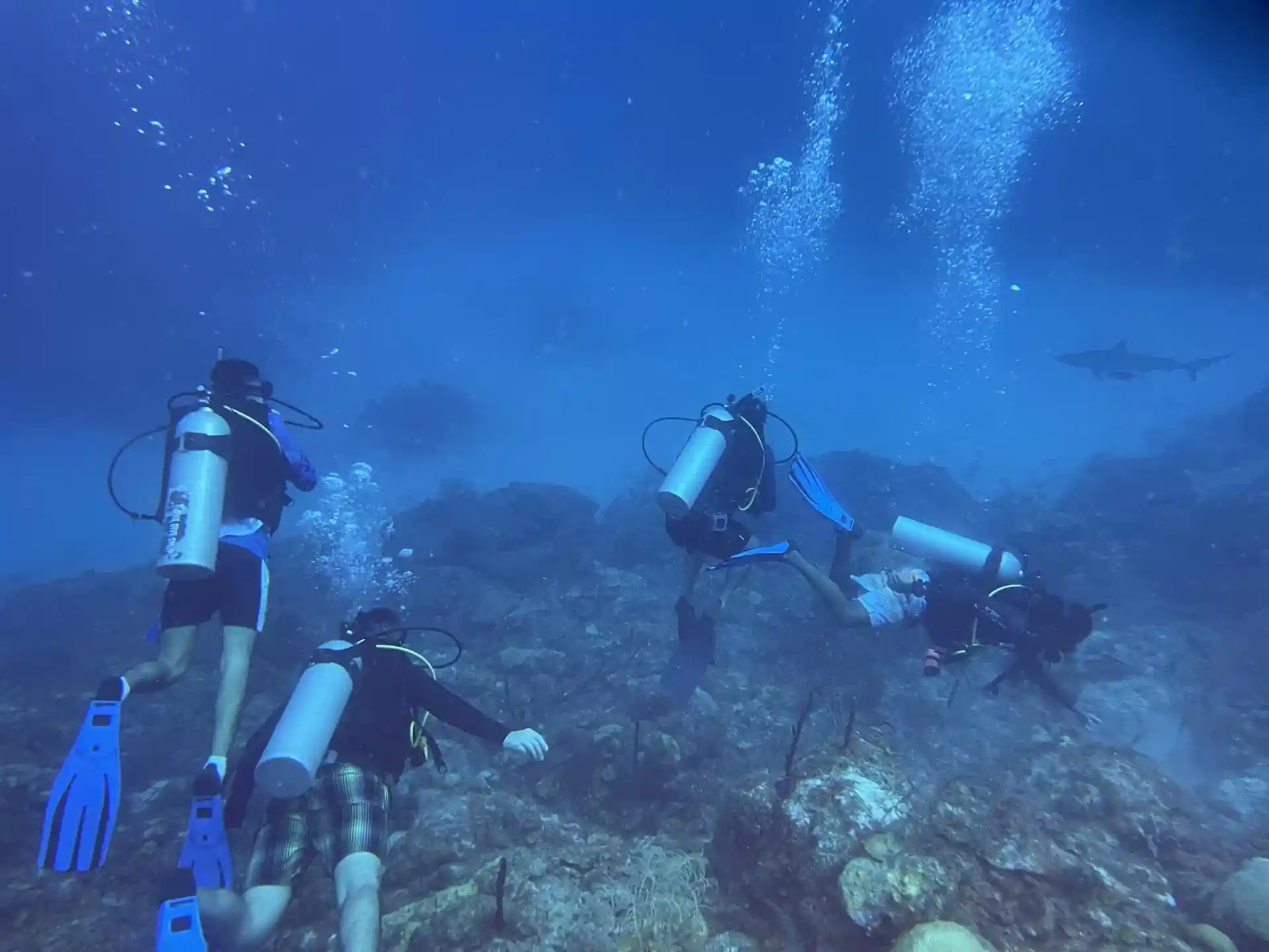 Dive site photo