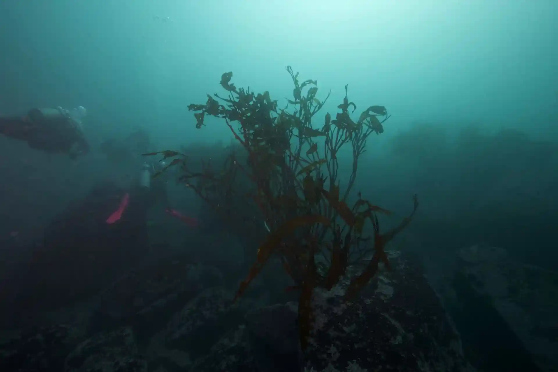 Dive site photo