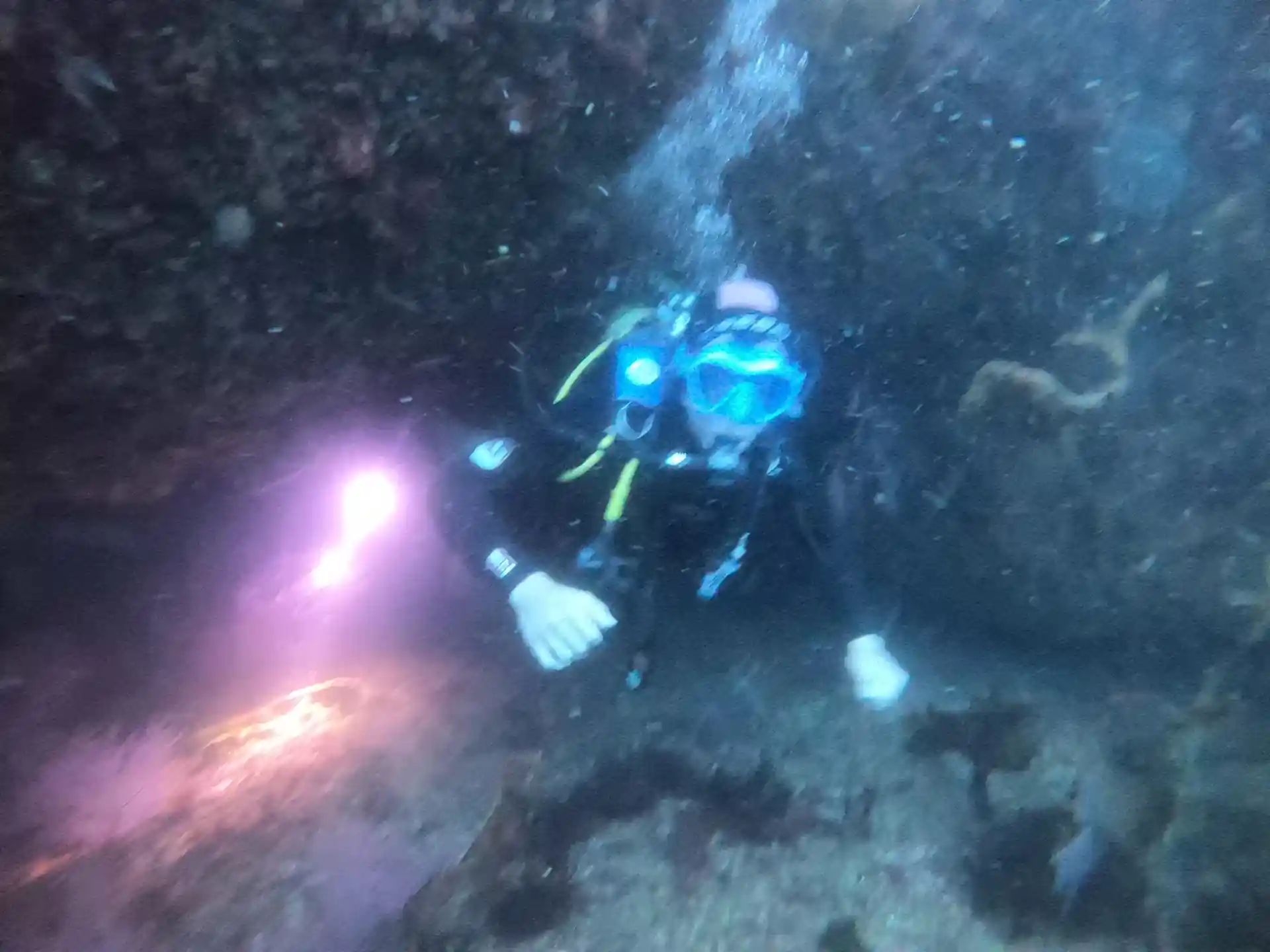 ダイビングサイトの写真