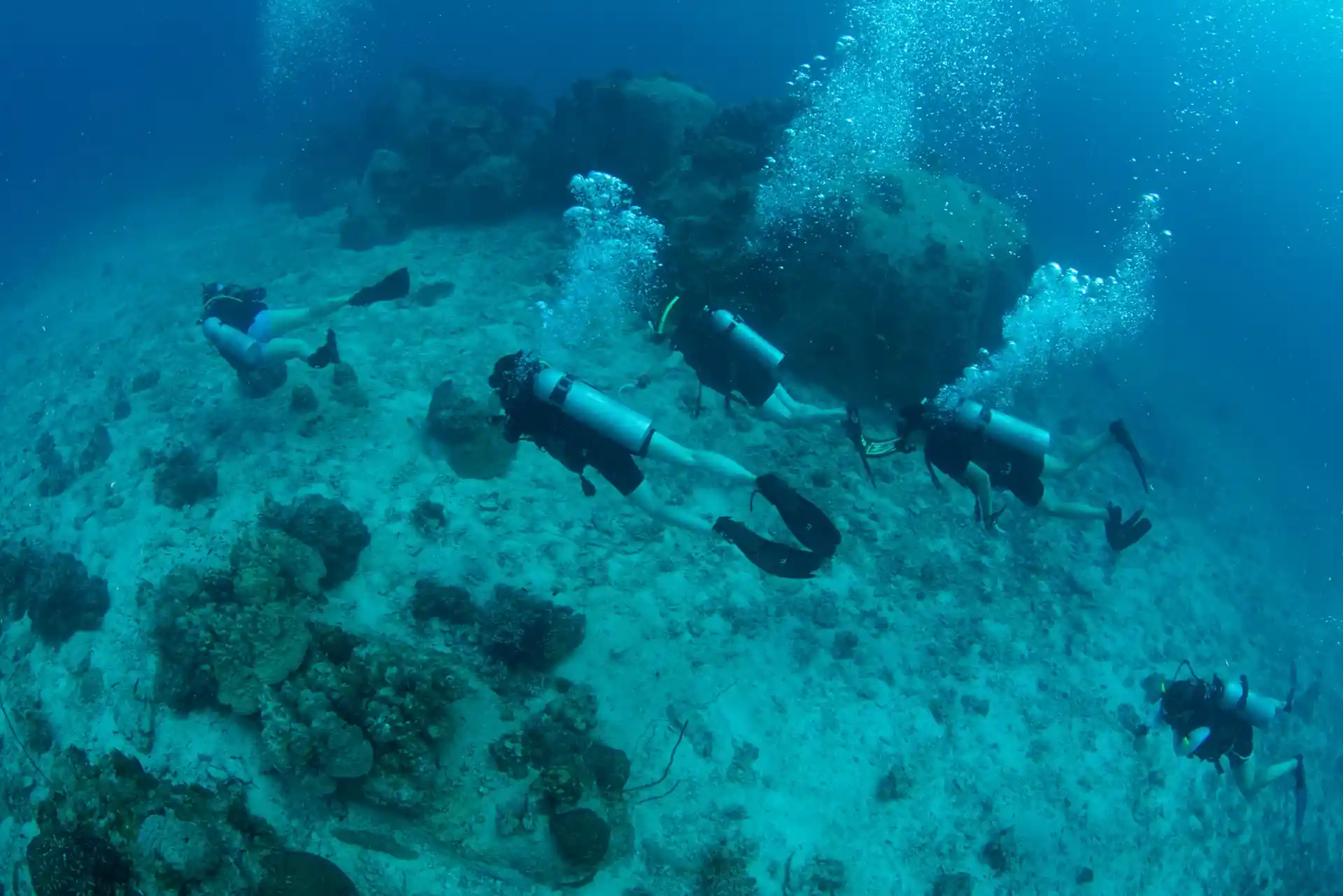 다이빙 포인트 사진