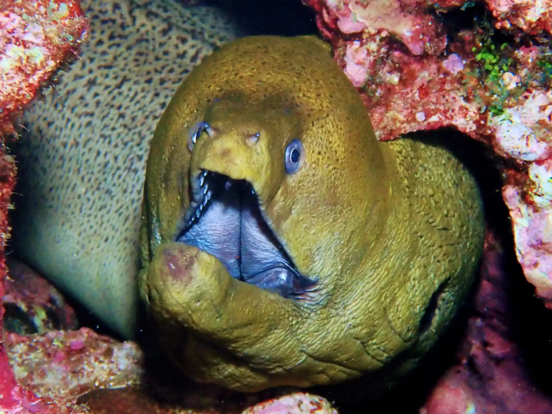 Foto de la actividad