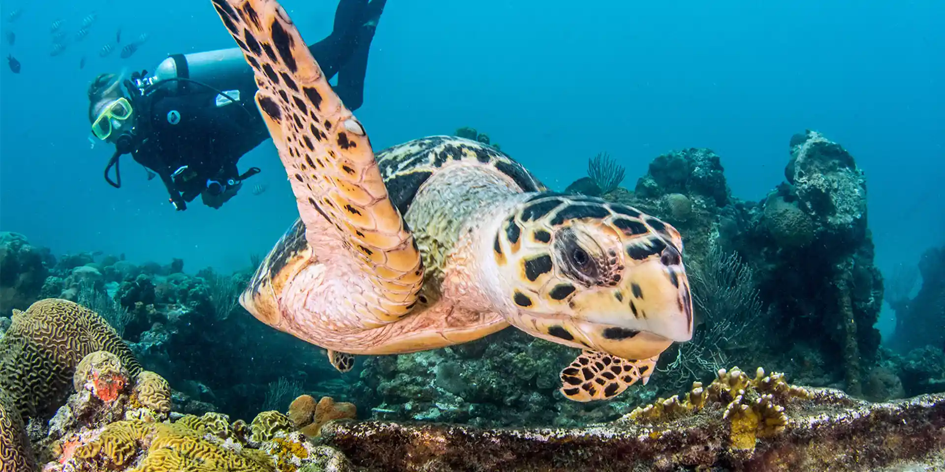 Foto de la actividad